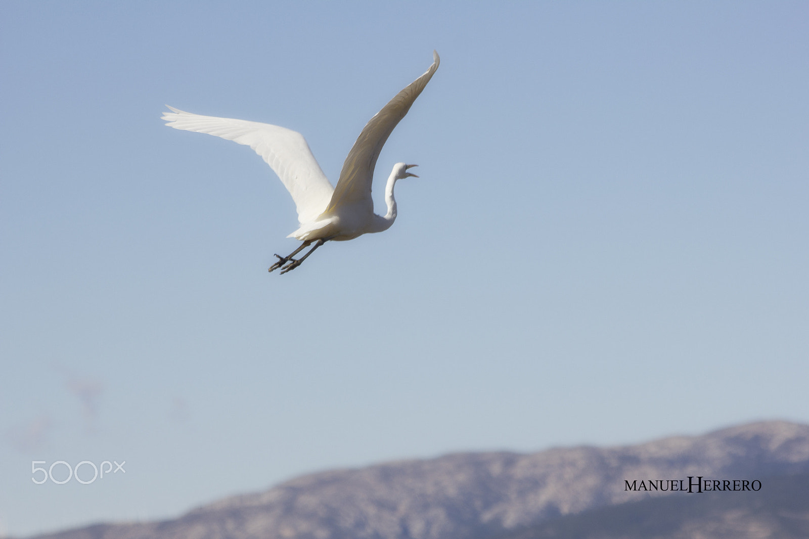 Canon EF 70-300mm F4-5.6 IS USM sample photo. Por los aires photography