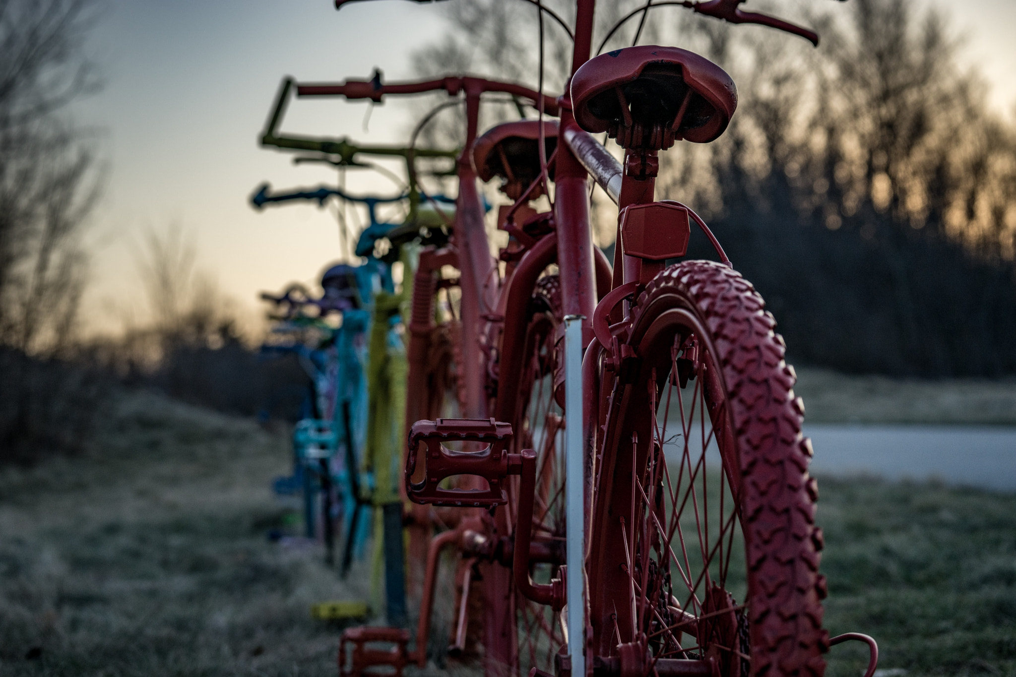 Sony FE 70-300mm F4.5-5.6 G OSS sample photo. The ultimate tandem..... photography