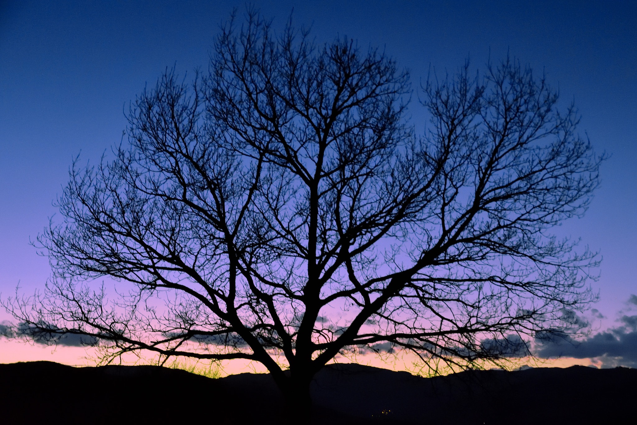 Nikon D5500 sample photo. Arbr brou photography