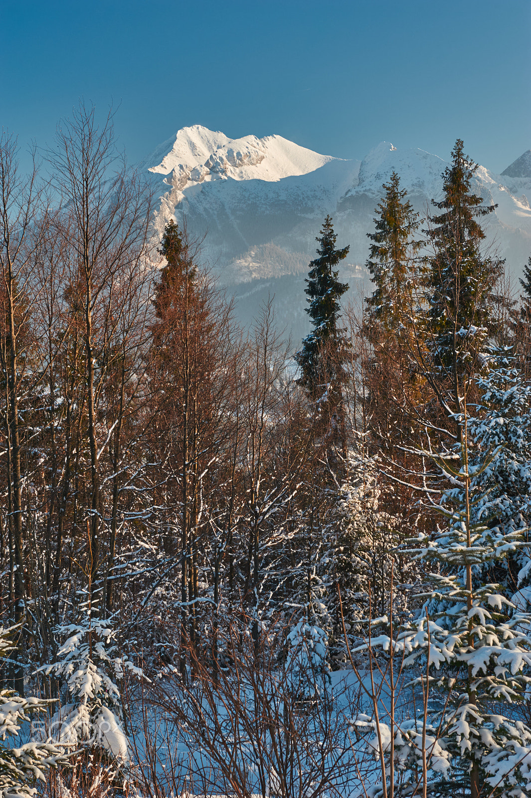 Nikon AF-S Nikkor 24-70mm F2.8G ED sample photo. Peak in the snow photography