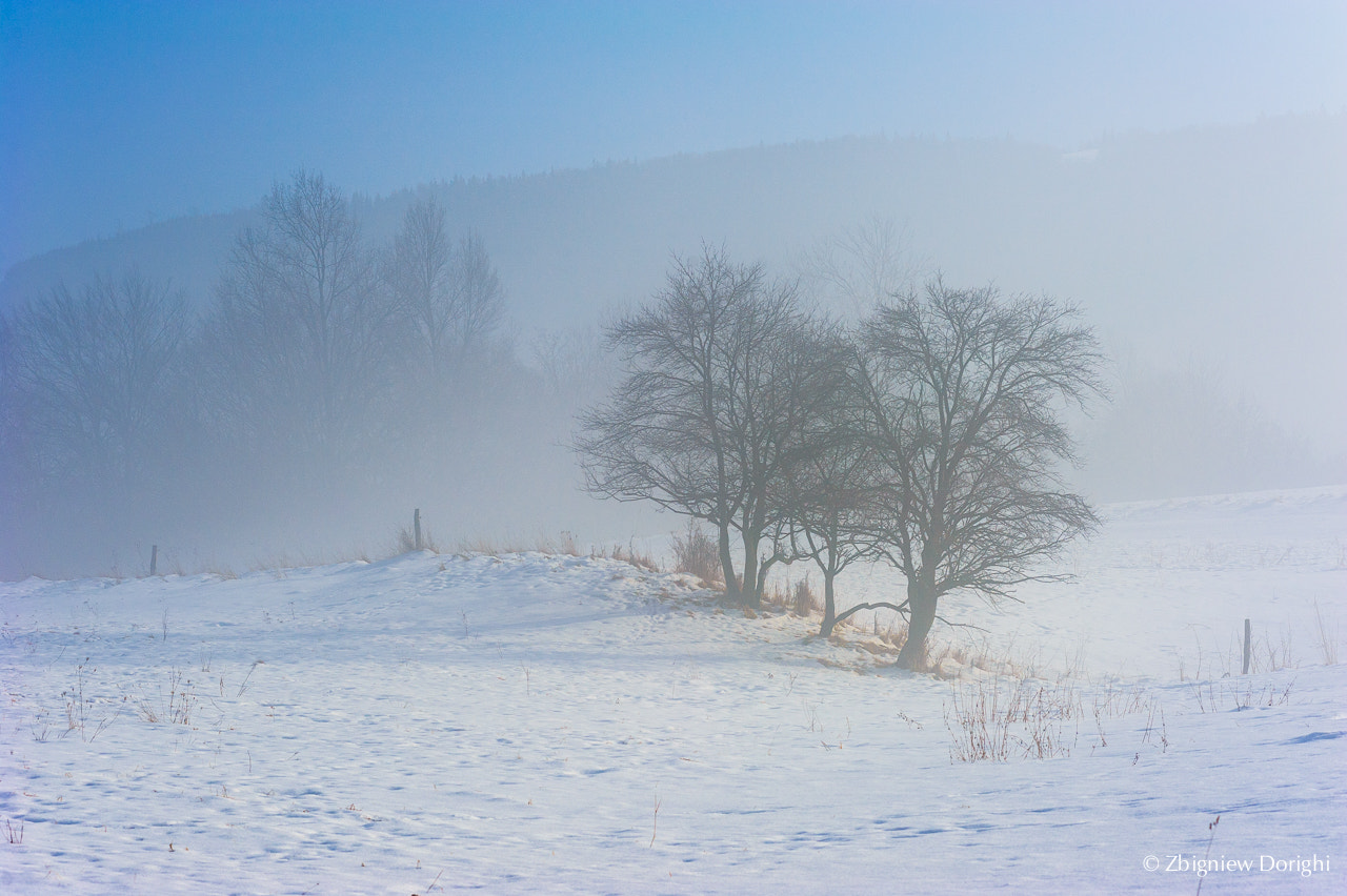 Nikon AF-Nikkor 80-200mm F2.8D ED sample photo. Foggy day photography