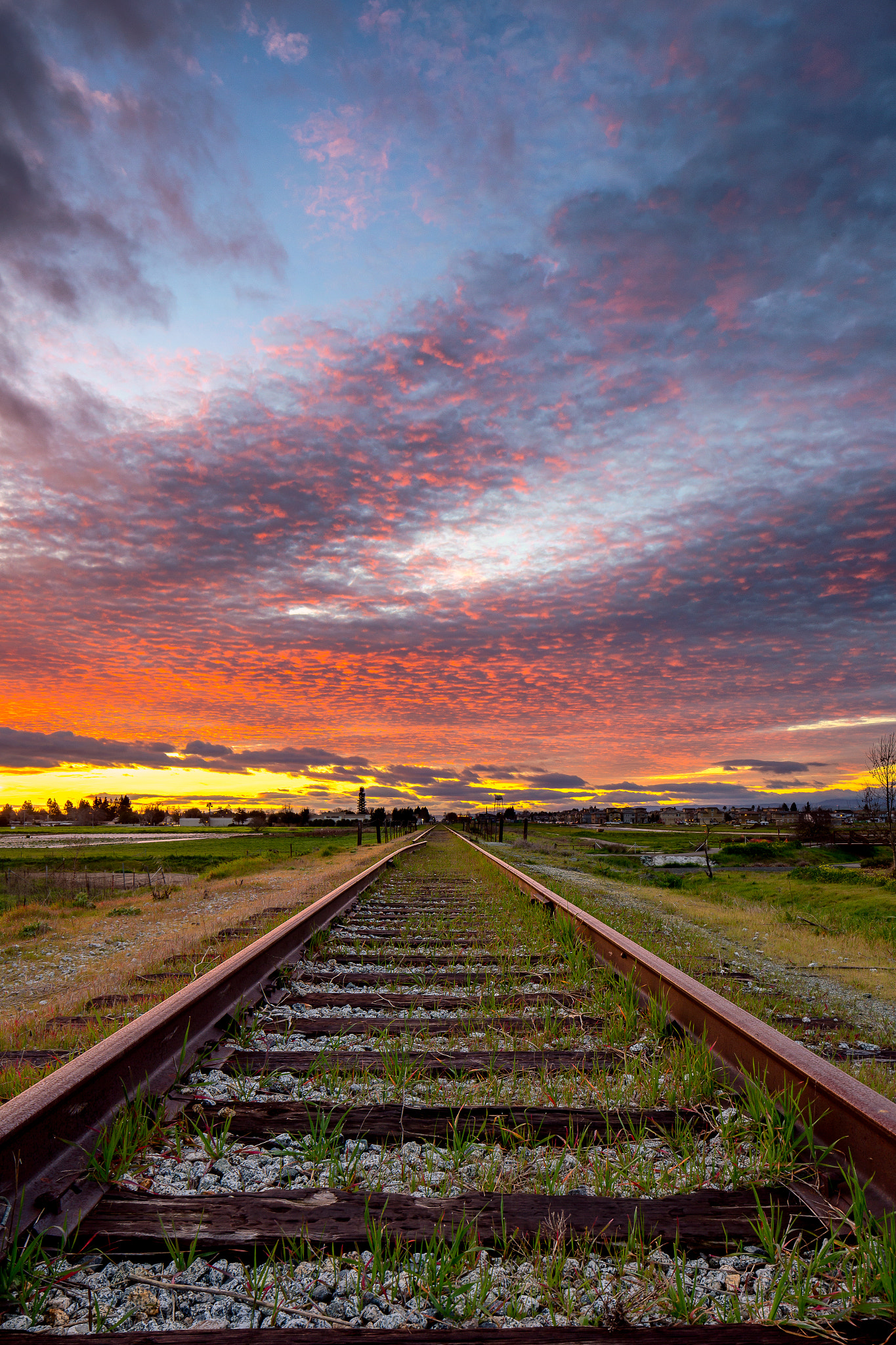 Canon TS-E 24.0mm f/3.5 L II sample photo. Derailment photography