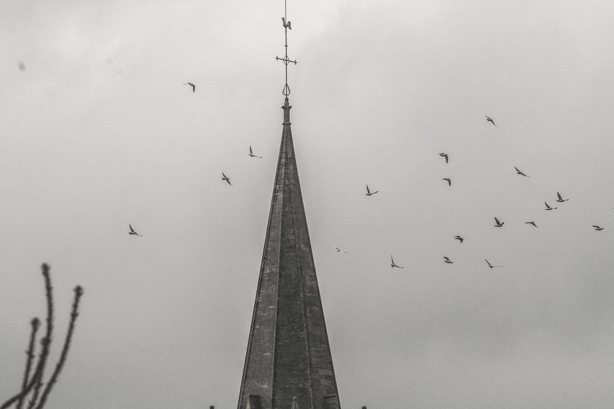 Canon EF 80-200mm F4.5-5.6 II sample photo. Les oiseaux photography