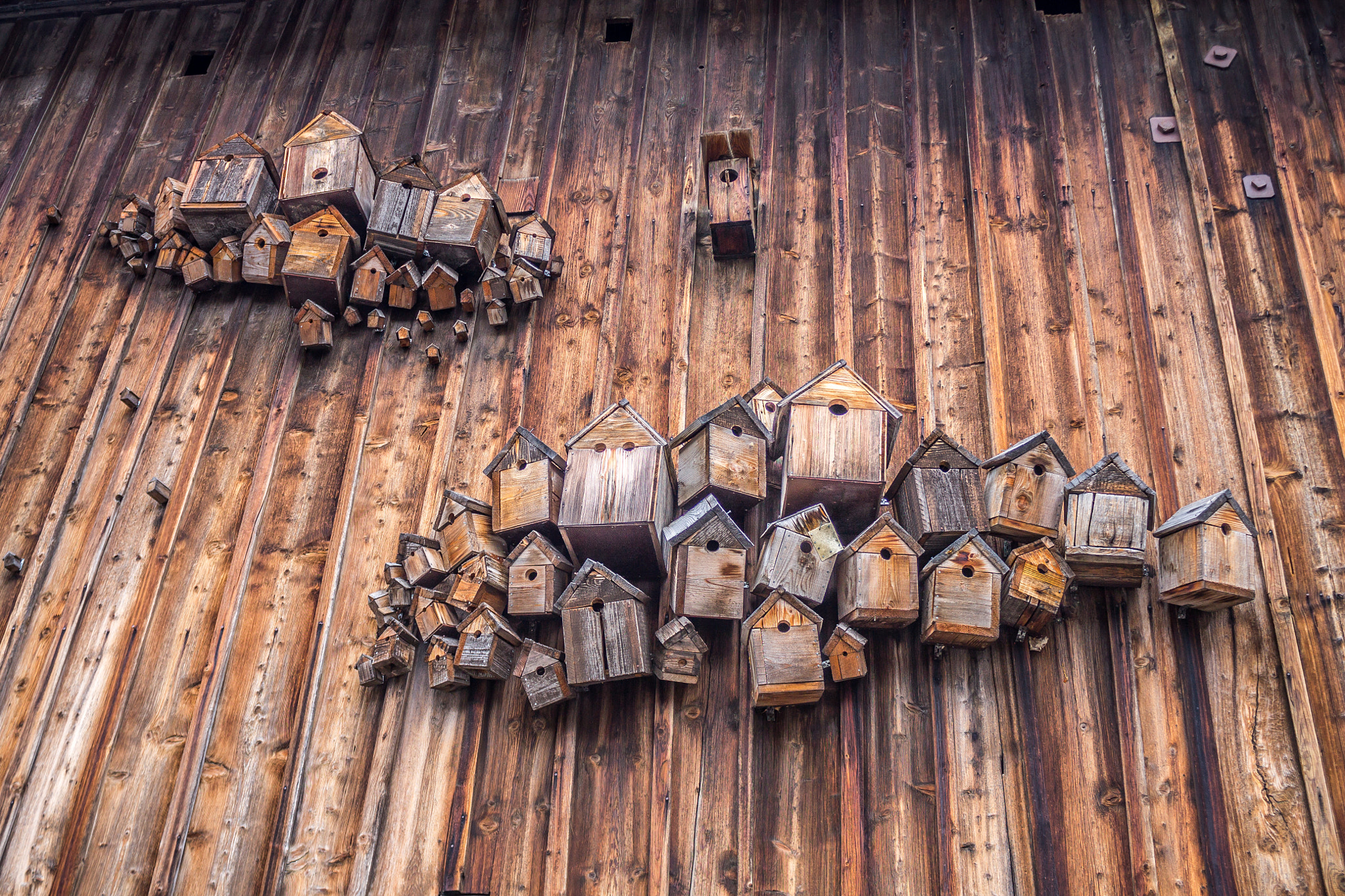 Canon EF-S 18-55mm F3.5-5.6 IS sample photo. Bird apartments :-) photography