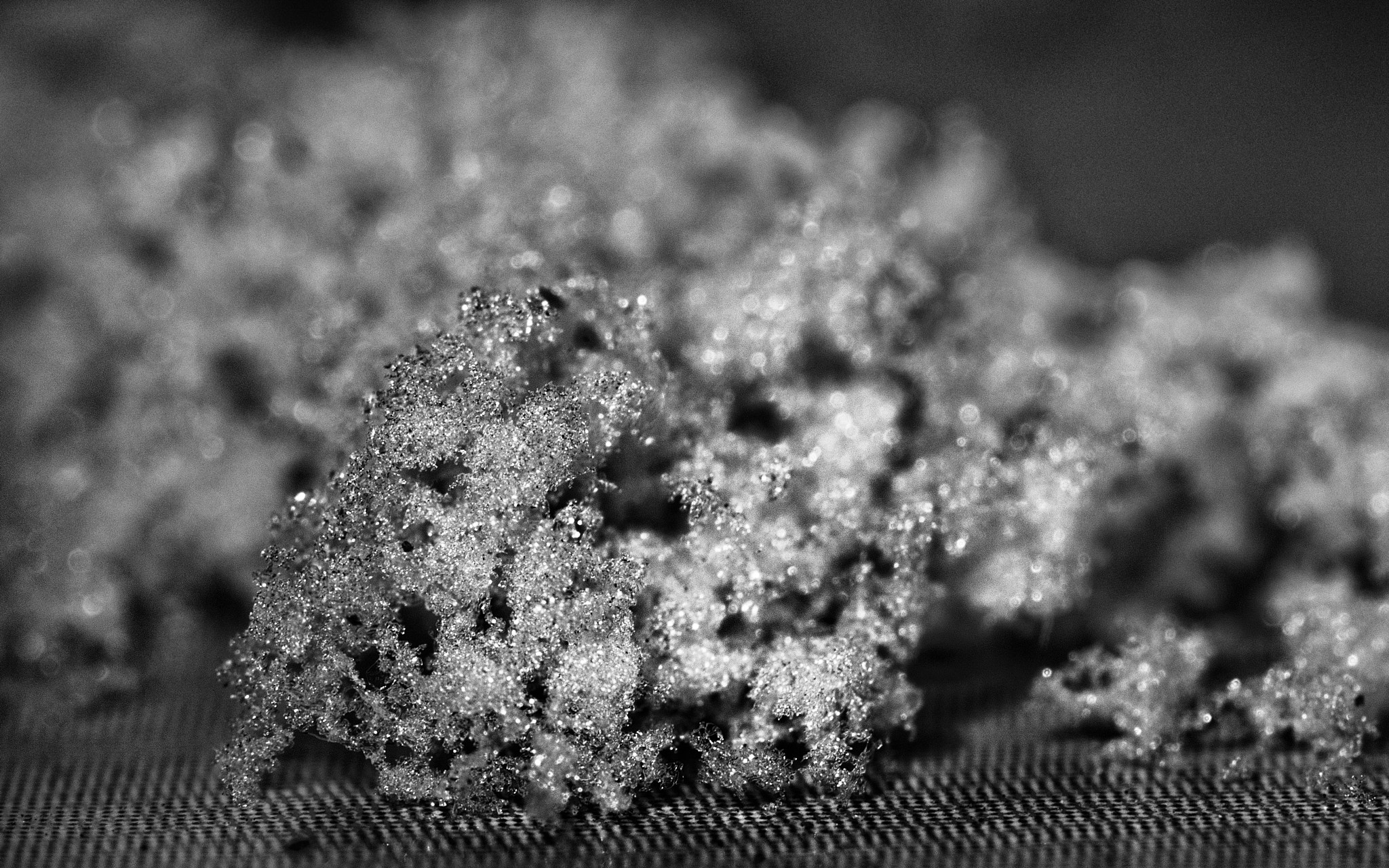 Olympus M.Zuiko Digital ED 60mm F2.8 Macro sample photo. Snow photography