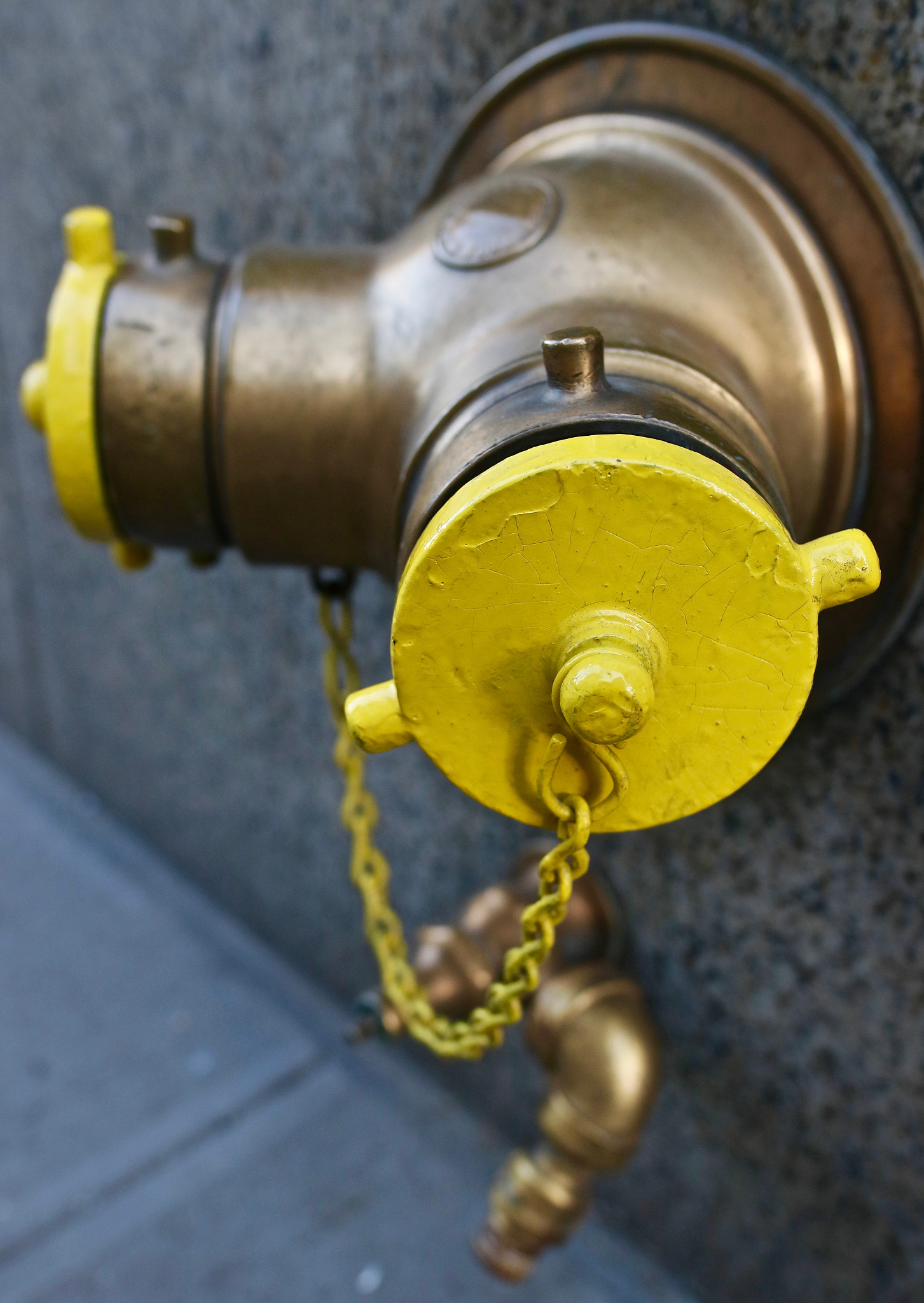 Canon EF 35mm F1.4L USM sample photo. Fire hydrant photography
