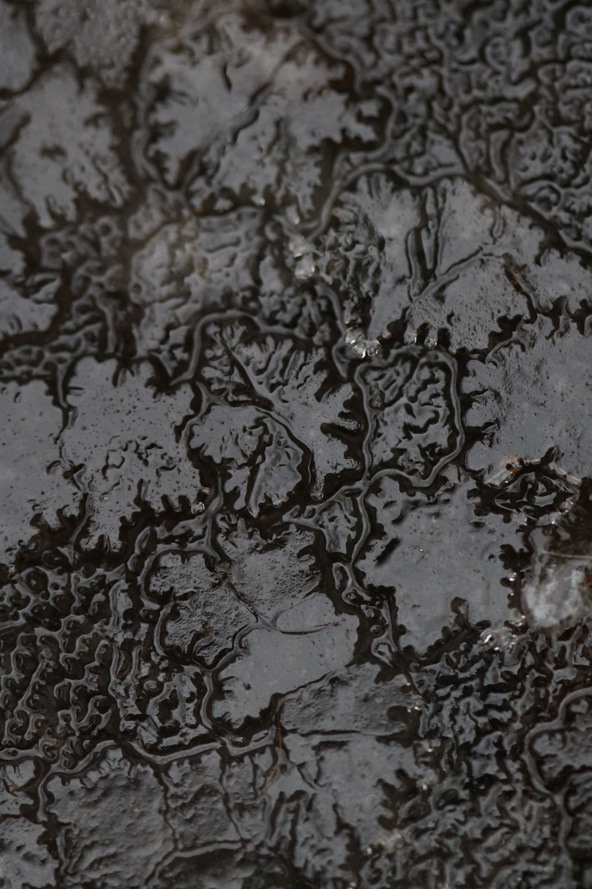 Canon EF 100mm F2.8L Macro IS USM sample photo. The shape of ice photography