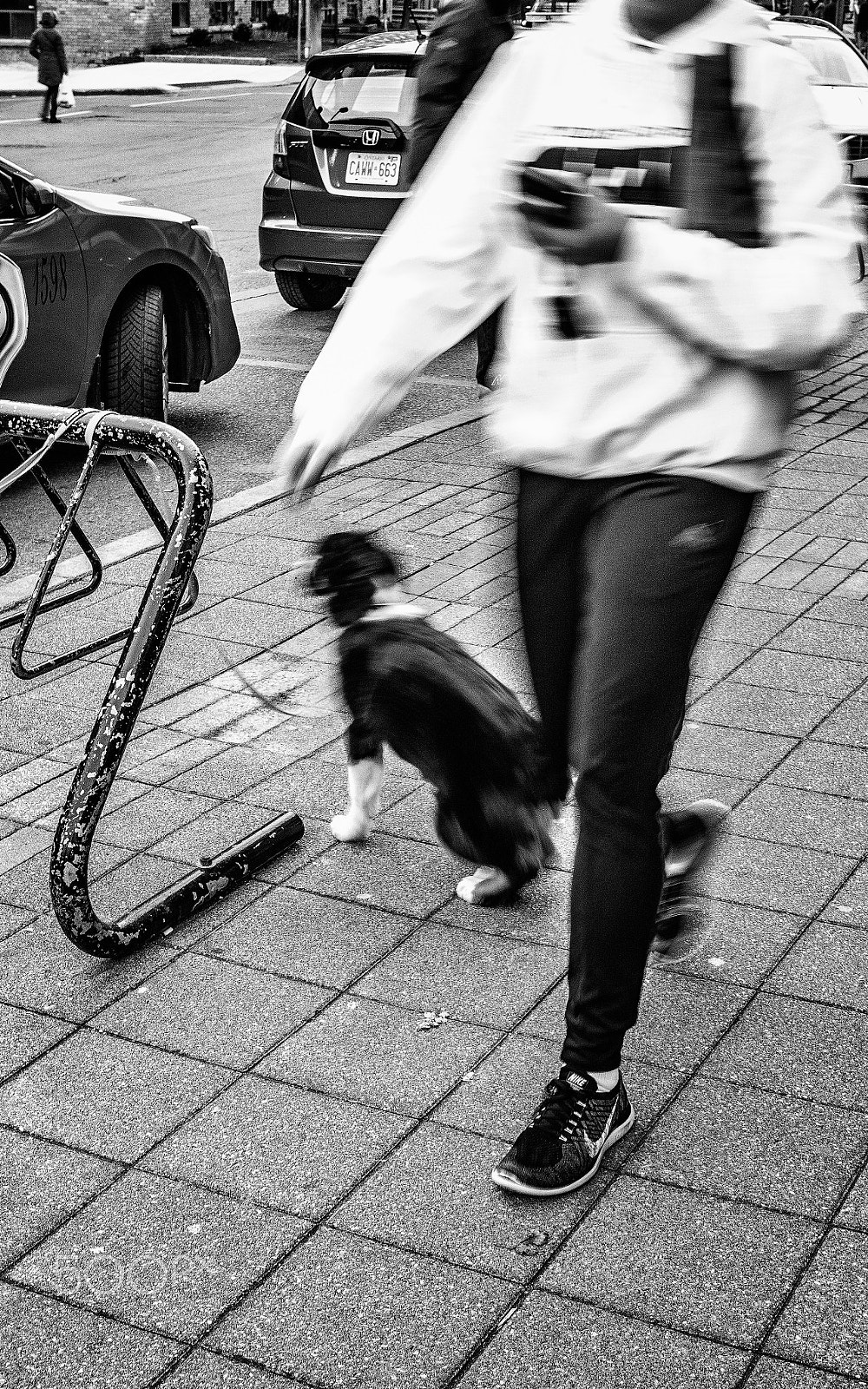 Olympus OM-D E-M10 II + Olympus M.Zuiko Digital 25mm F1.8 sample photo. Phonetvino photography