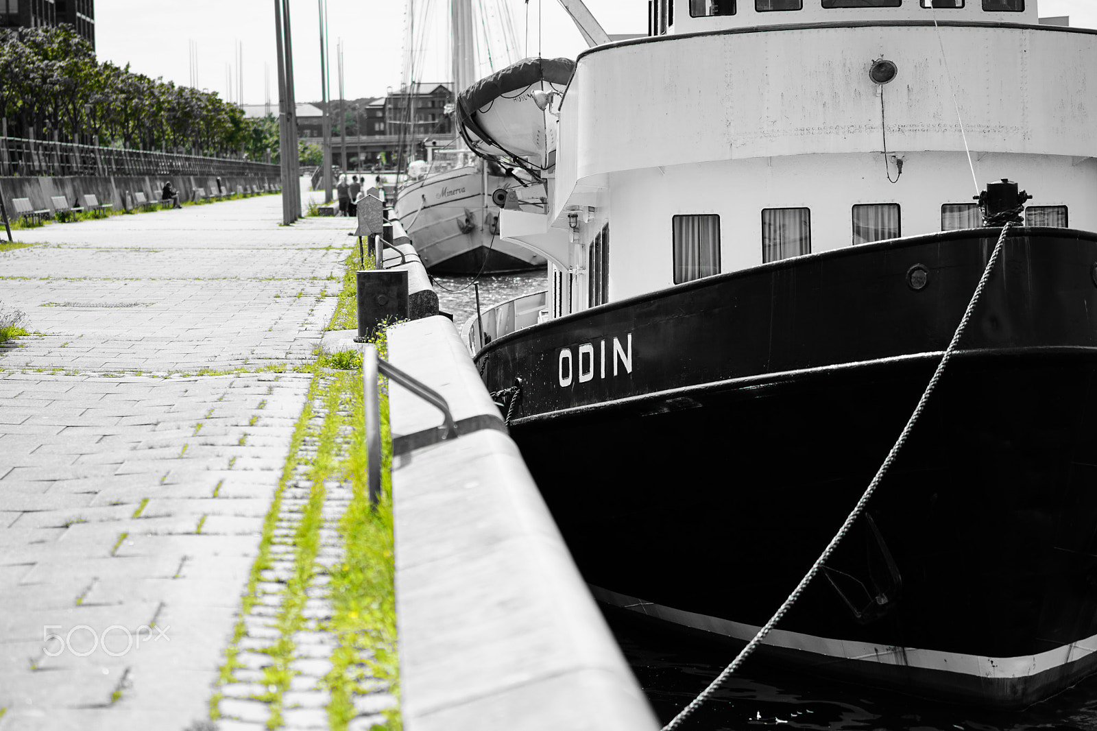 Sony a6000 + Sony Sonnar T* FE 55mm F1.8 ZA sample photo. Odin photography