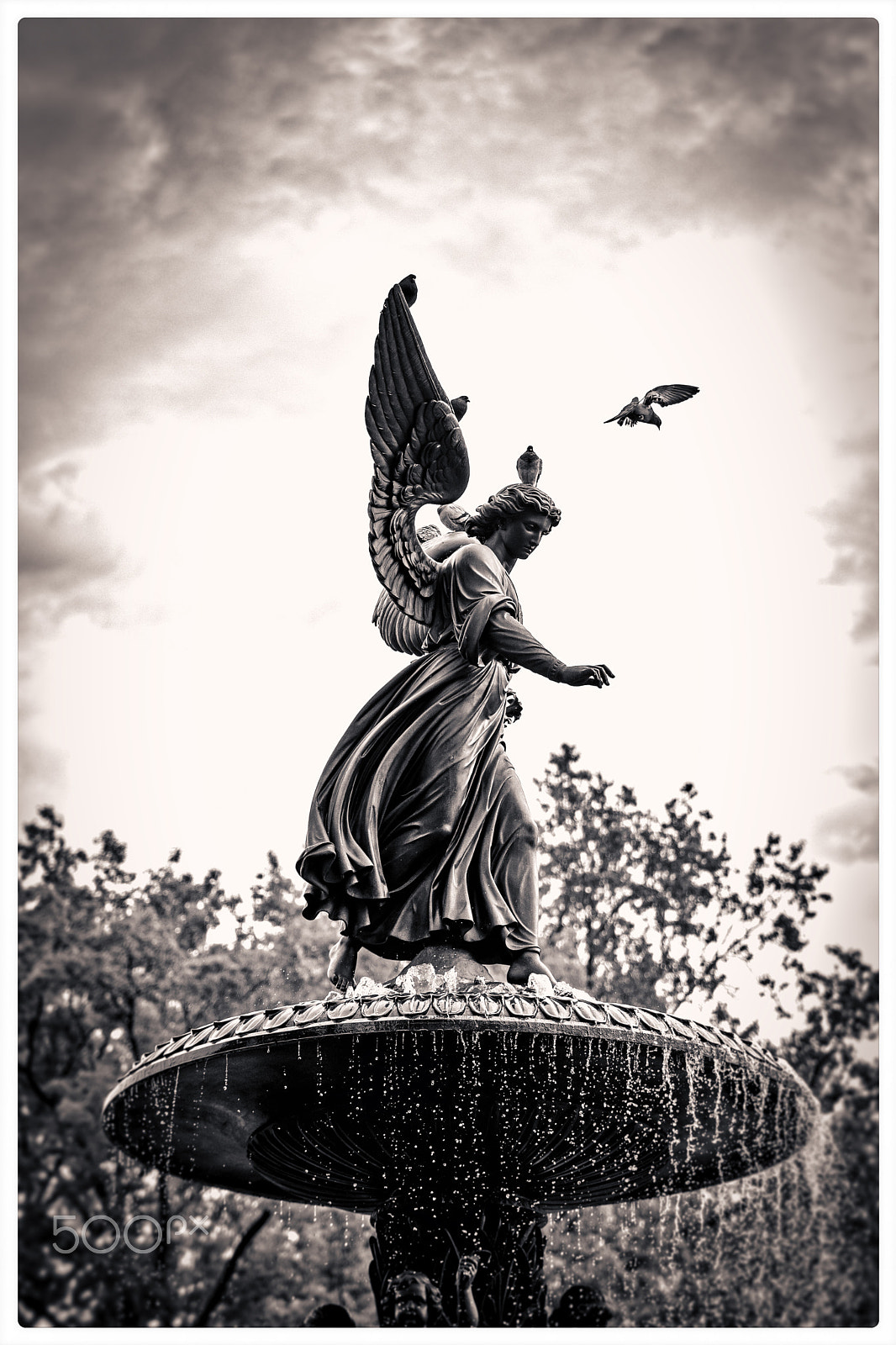 Nikon D7200 + Sigma 50-100mm F1.8 DC HSM Art sample photo. The angel of the waters photography