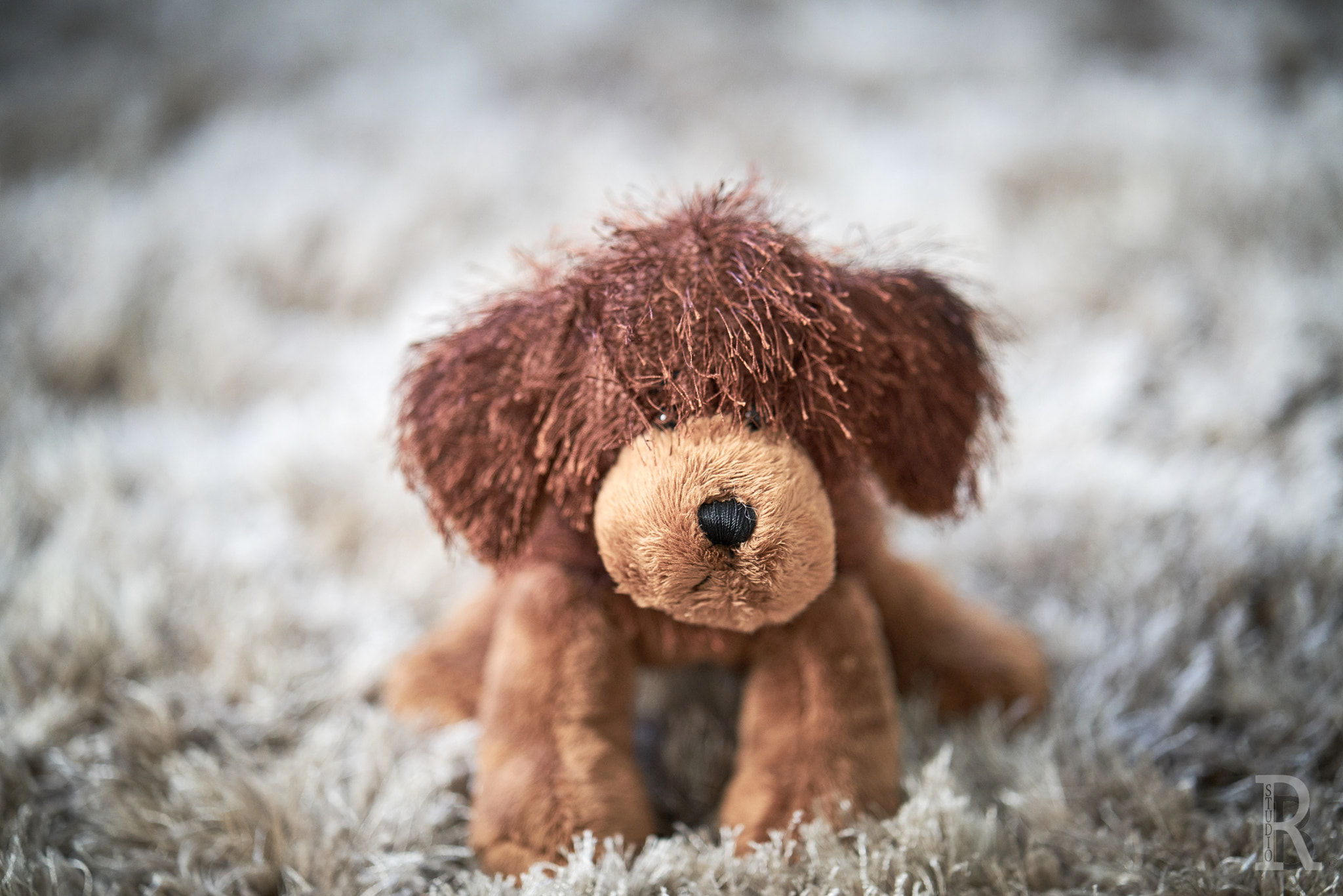 ZEISS Batis 85mm F1.8 sample photo. Rb studio photography