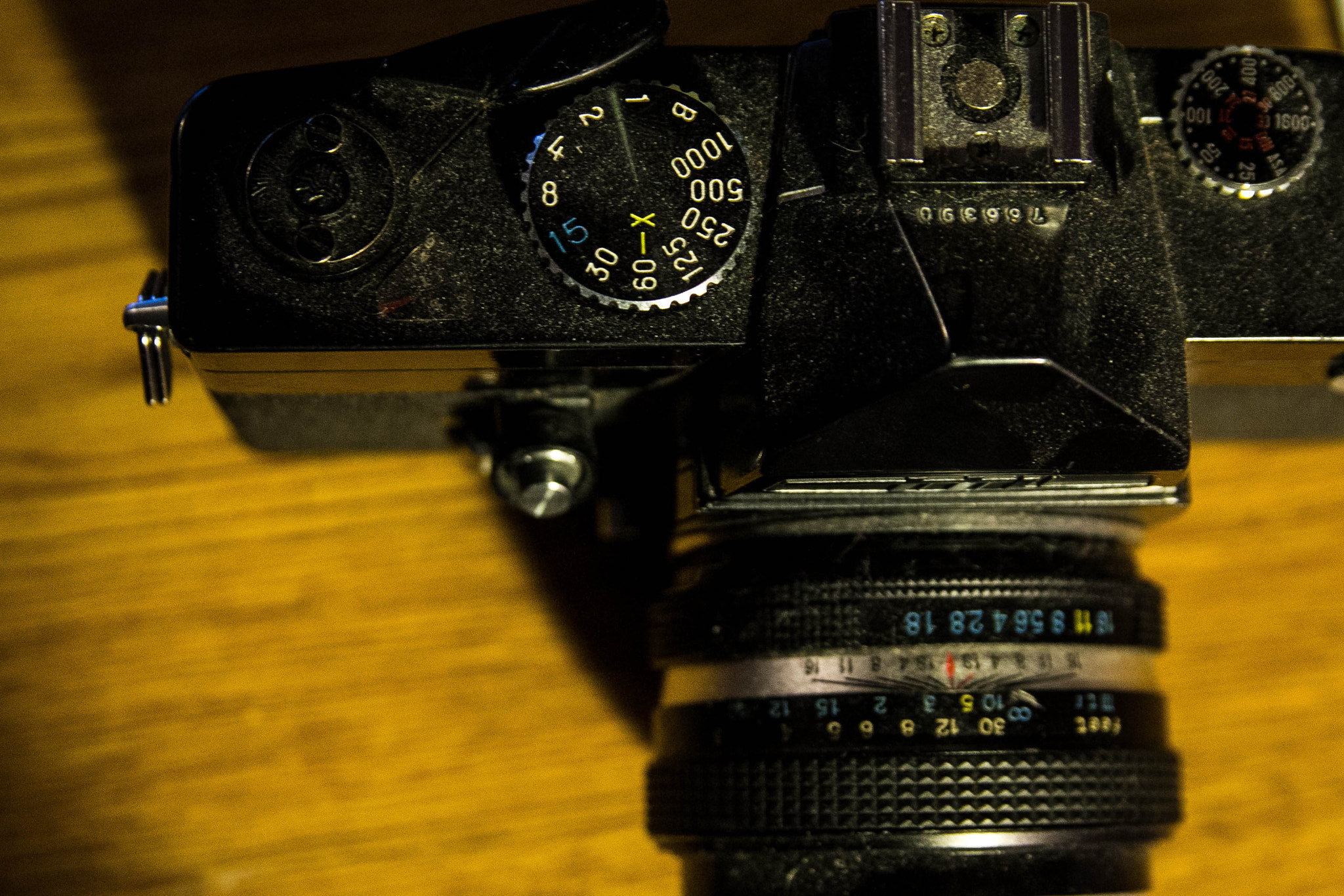 Canon EOS 60D + Sigma 18-50mm f/2.8 Macro sample photo. Mg photography