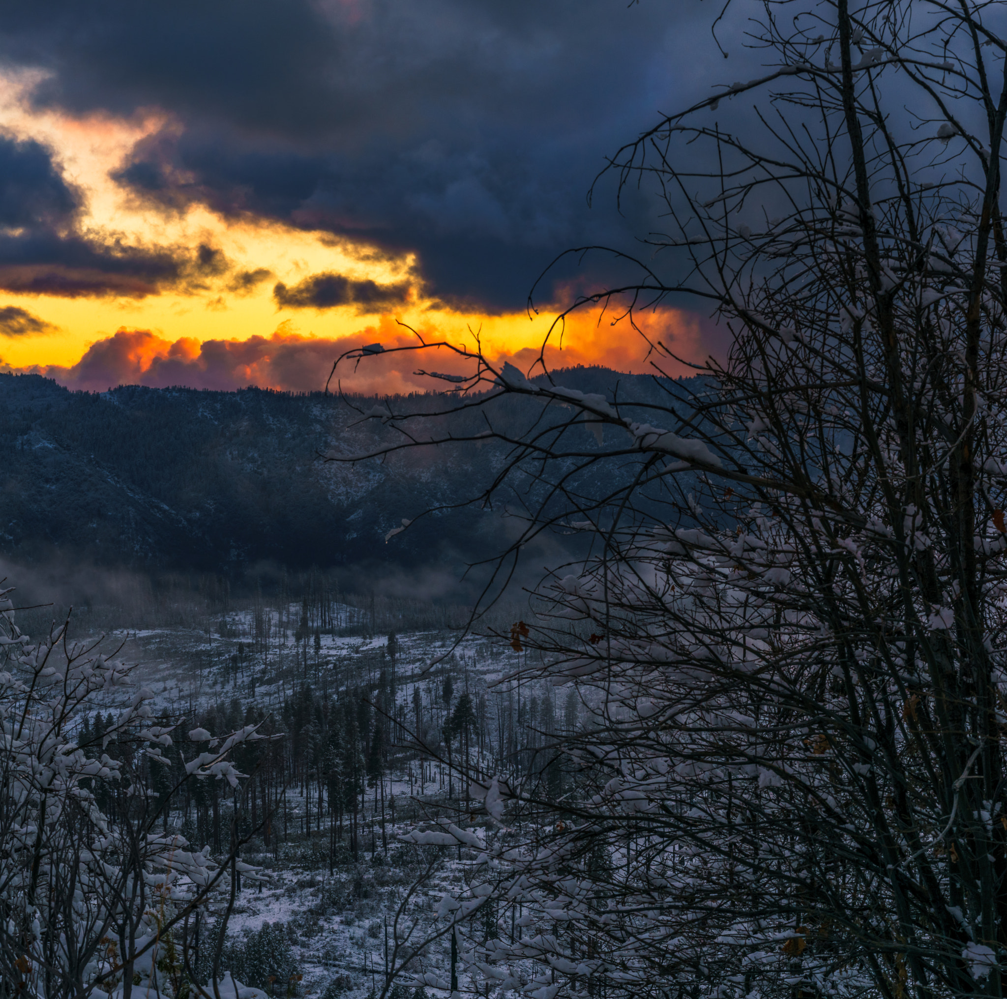 Sony a7R + Sony FE 90mm F2.8 Macro G OSS sample photo. Yosemite winter sunset photography