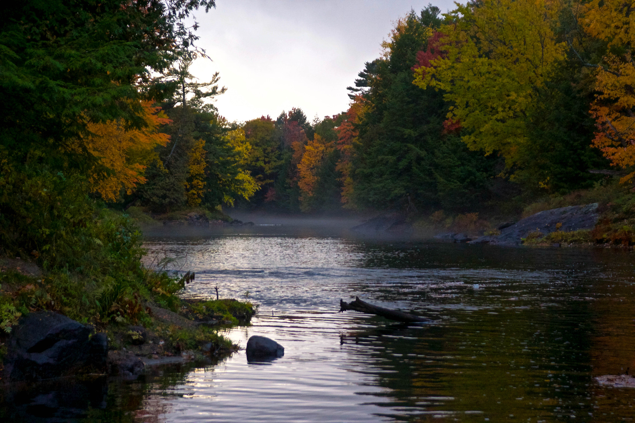 Canon EOS 60D + Sigma 18-50mm f/2.8 Macro sample photo. Black creek, ontario photography