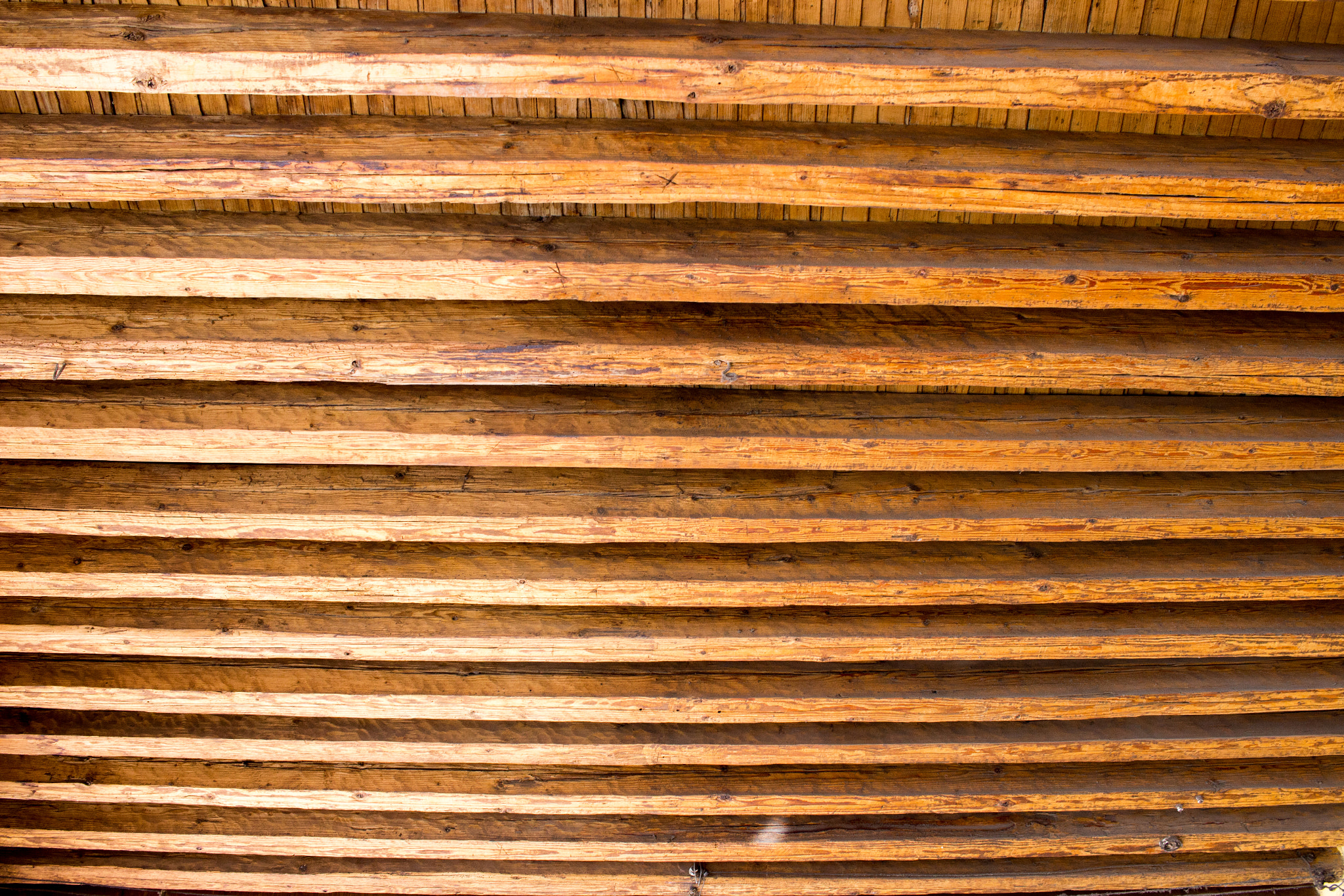 Canon EF-S 24mm F2.8 STM sample photo. Lineas en el techo photography