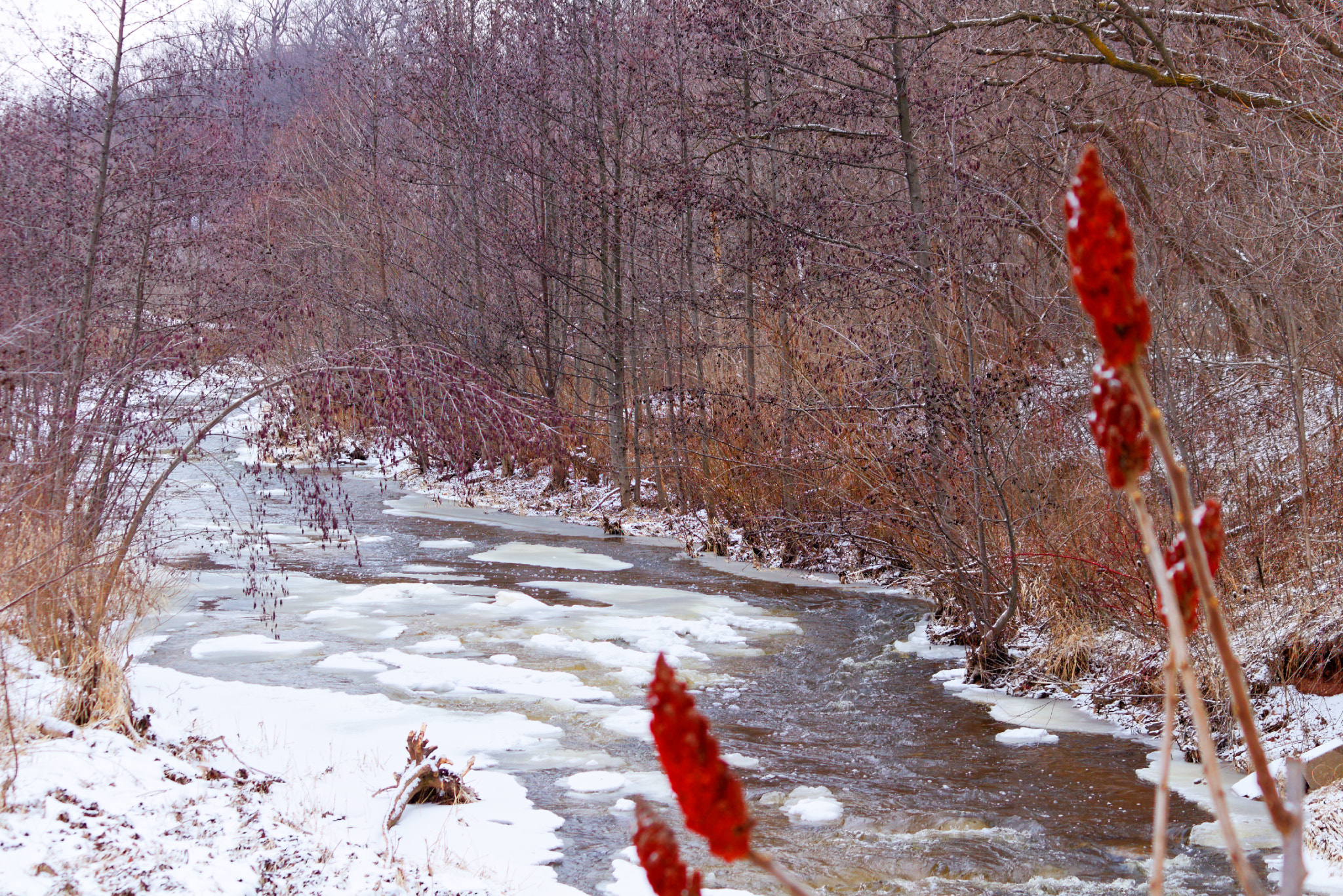 Canon EOS 100D (EOS Rebel SL1 / EOS Kiss X7) sample photo. Grindstone river photography