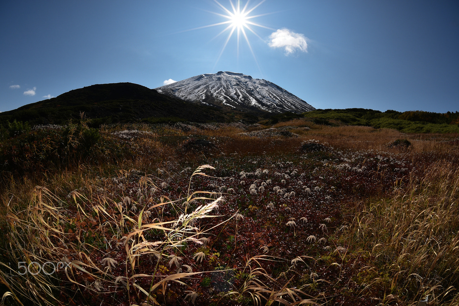 Nikon AF DX Fisheye-Nikkor 10.5mm F2.8G ED sample photo. 晩秋 photography