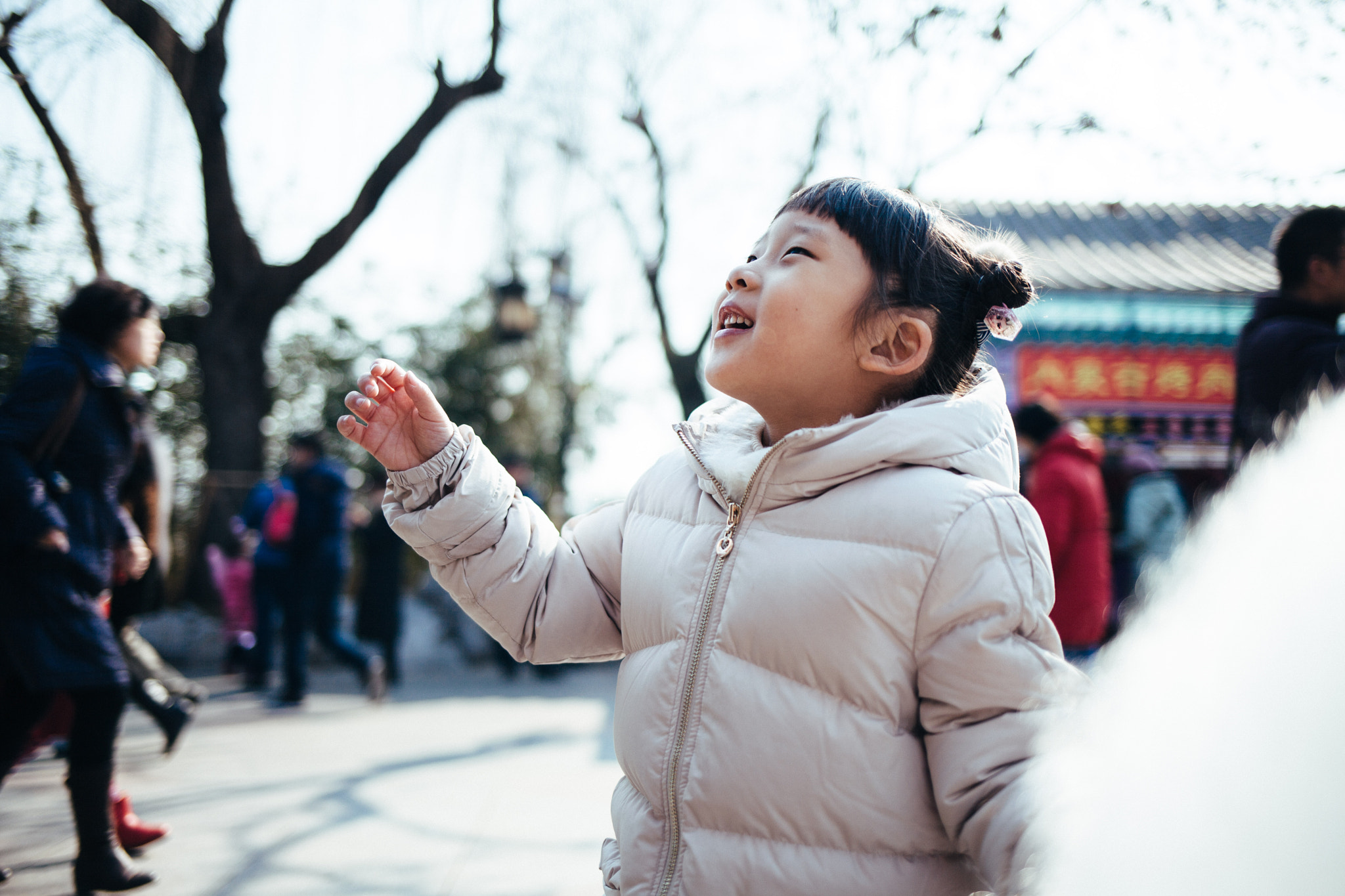 Canon EF 35mm F2 IS USM sample photo. Chinese new year photography