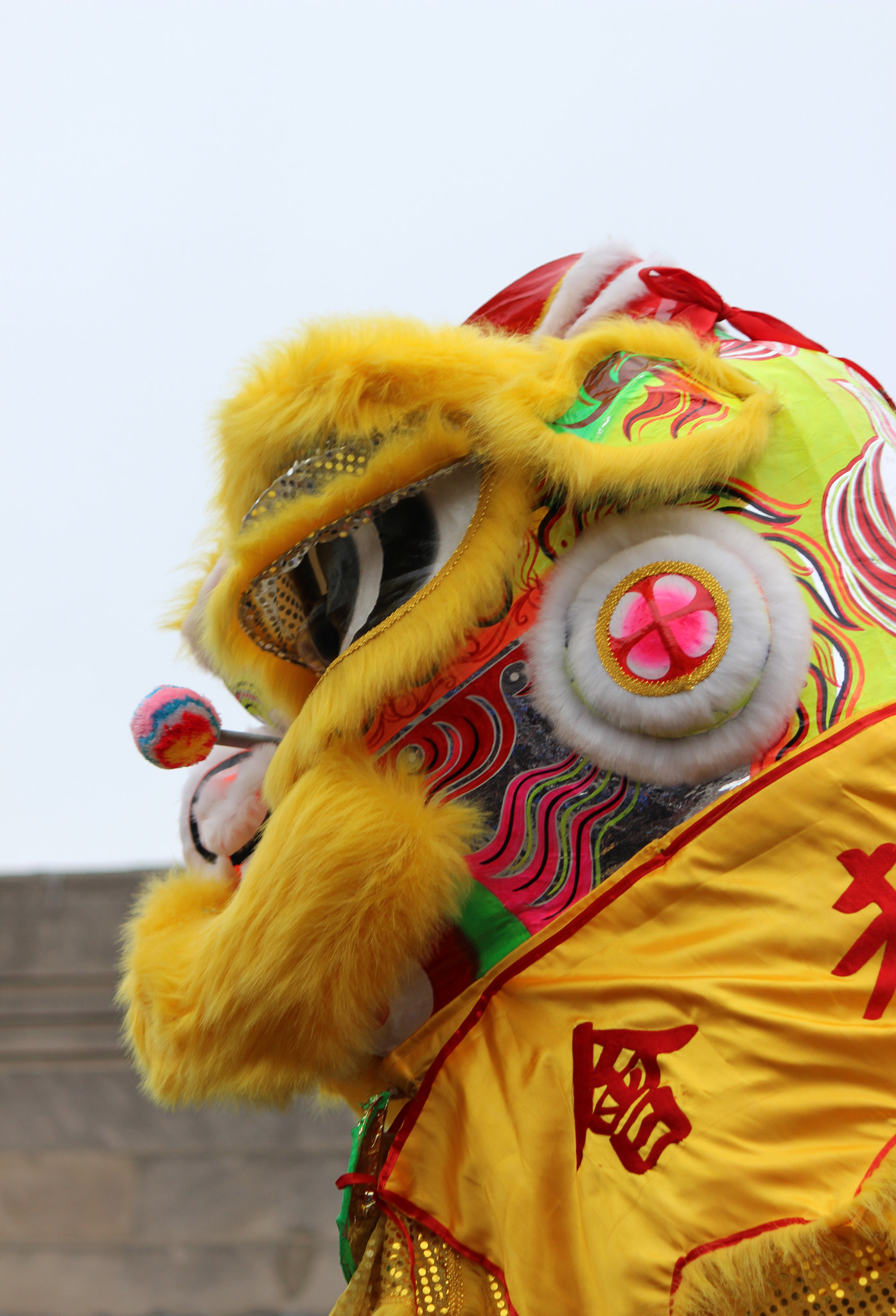 Canon EF-S 55-250mm F4-5.6 IS sample photo. Yellow dragon photography