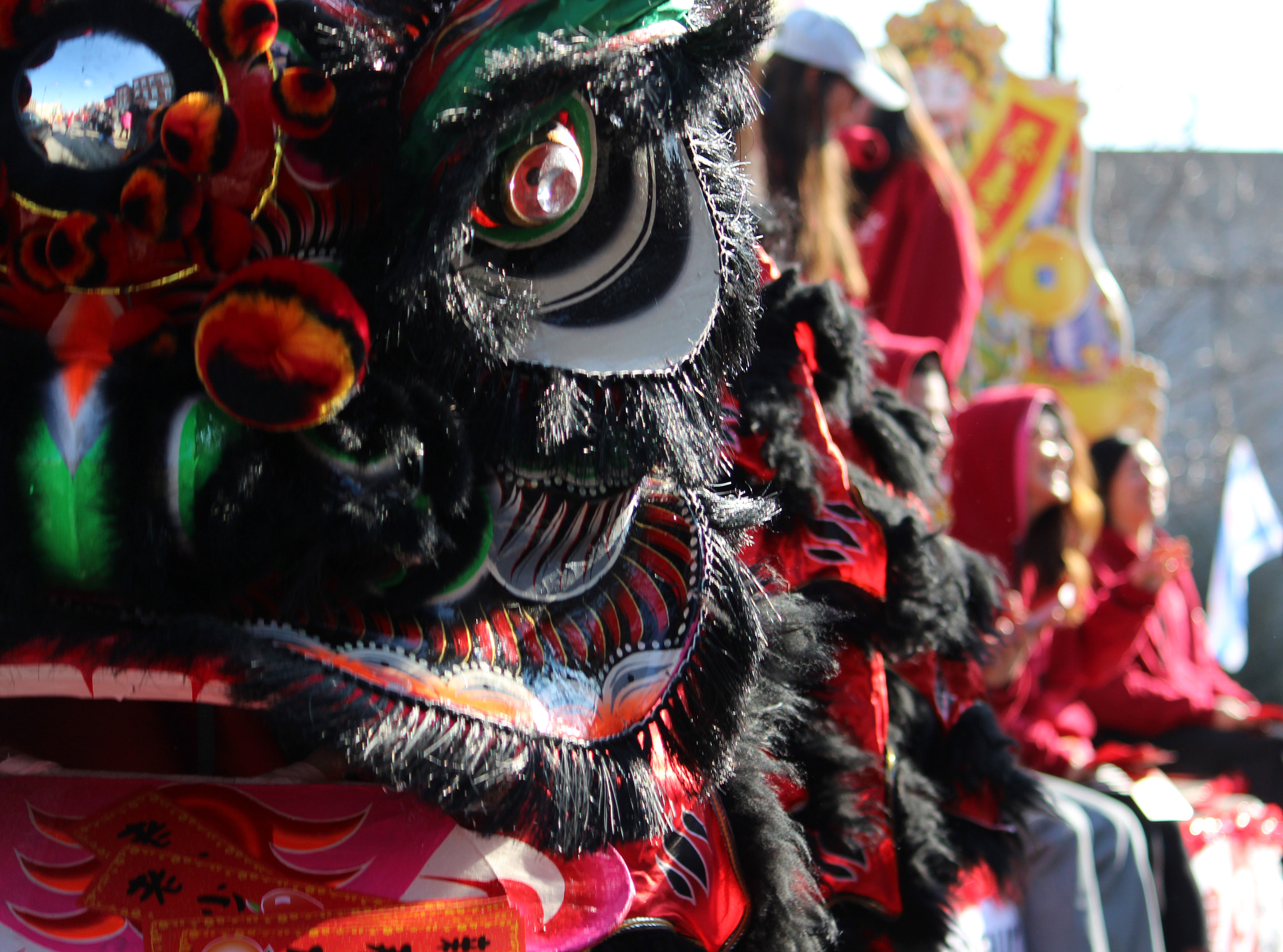 Canon EF-S 55-250mm F4-5.6 IS sample photo. Black dragon photography