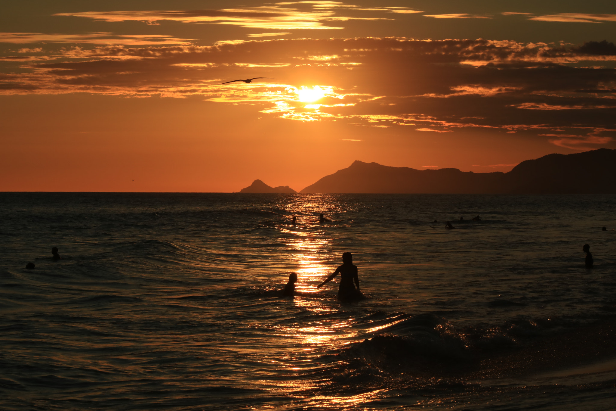 Canon EF-S 55-250mm F4-5.6 IS sample photo. Golden sunset - rio de janeiro photography