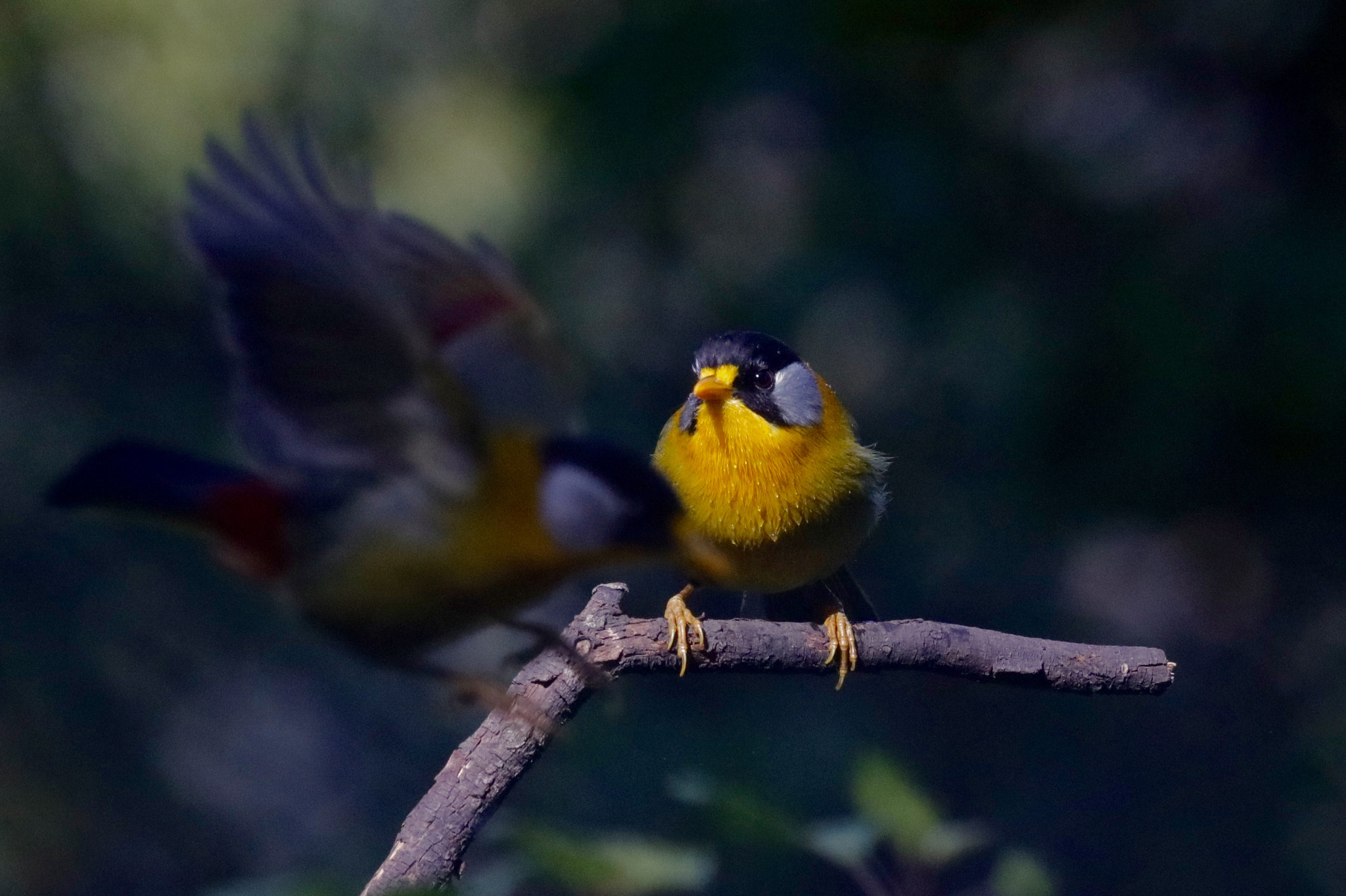Canon EF 100-400mm F4.5-5.6L IS USM sample photo