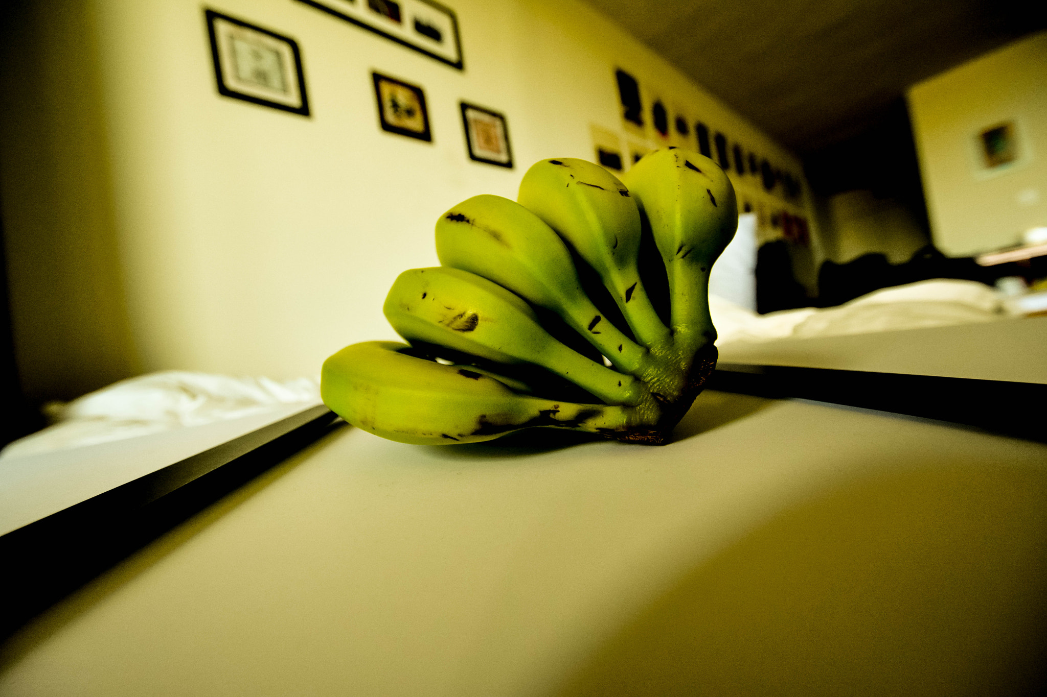 Nikon D5500 sample photo. Go bananas!-5 photography