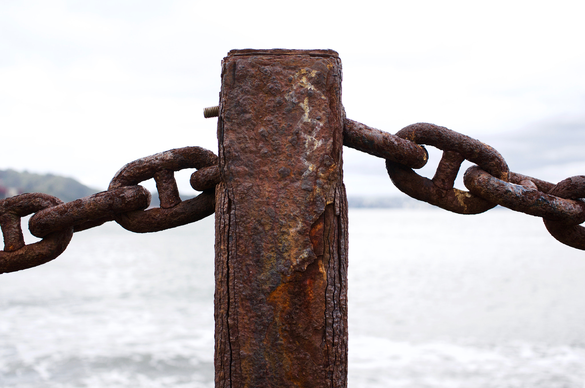 Sony Alpha NEX-6 + Sigma 30mm F2.8 EX DN sample photo. Rusty fence photography