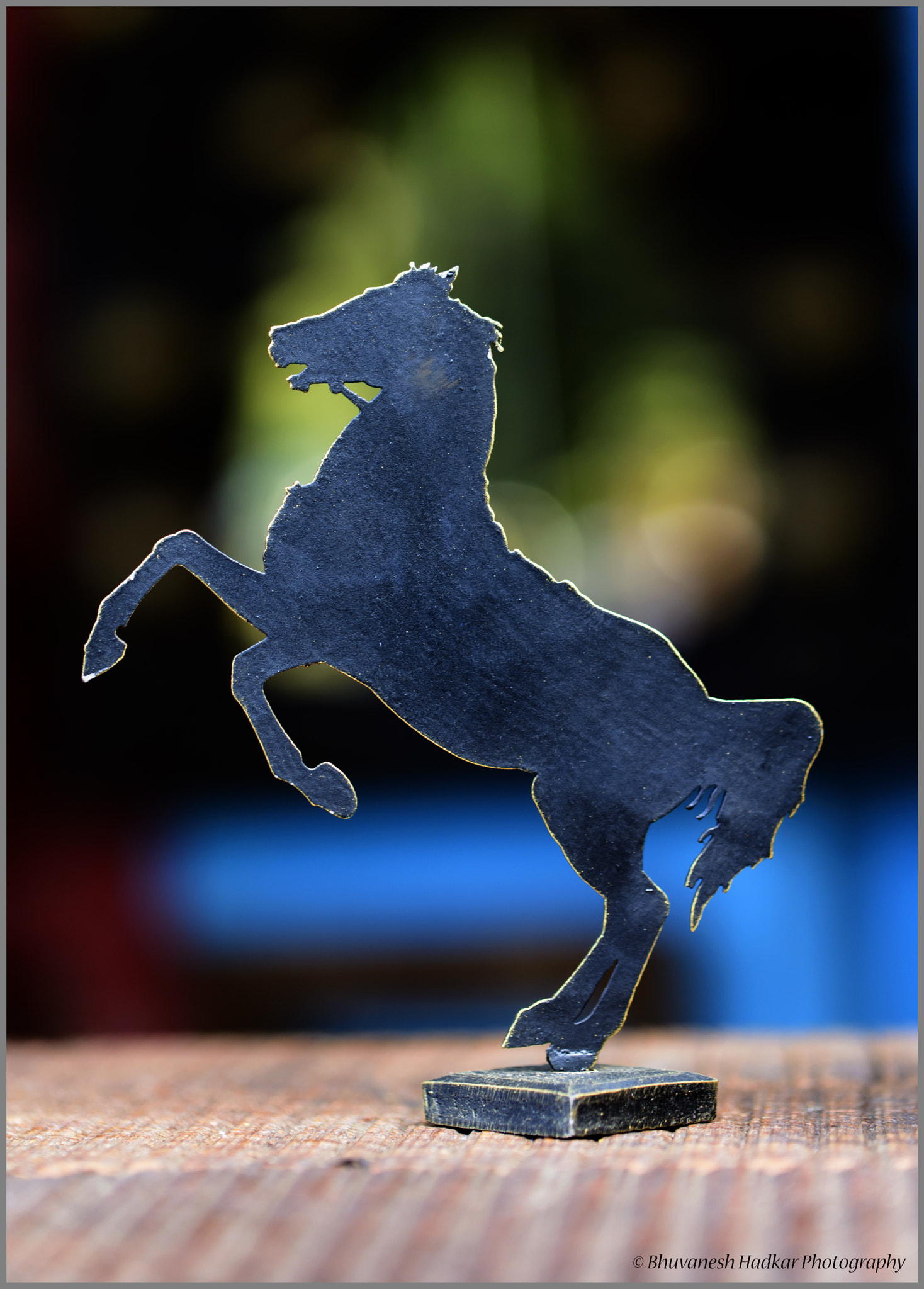 Nikon D800 sample photo. Kala ghoda (black horse) photography