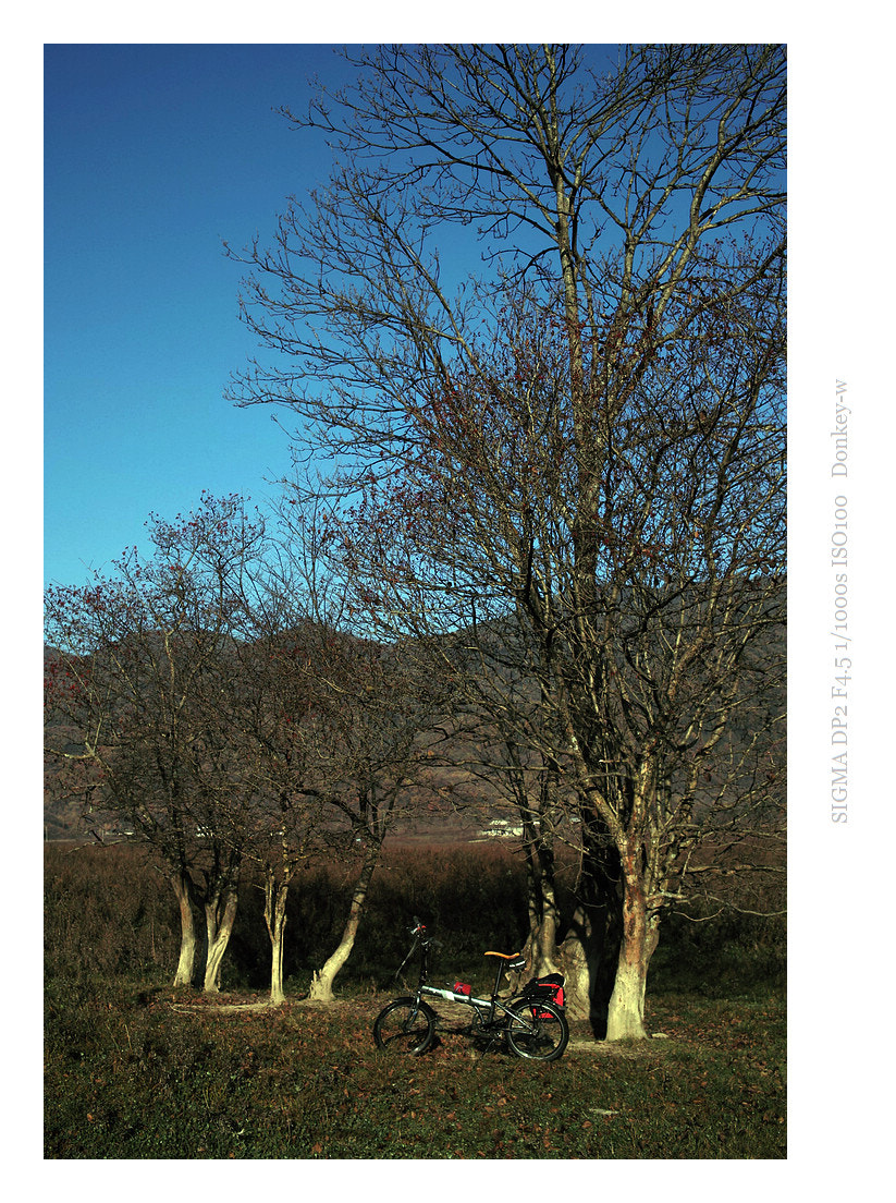 Sigma DP2 sample photo. Cycling tour …… photography