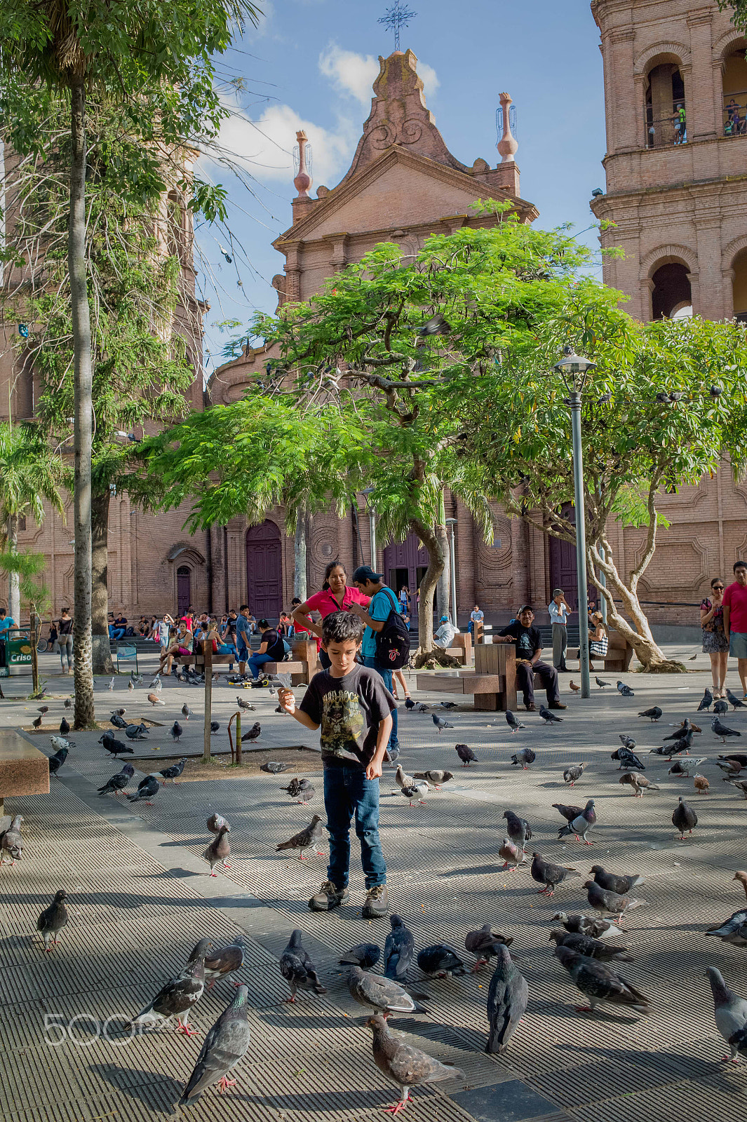 Leica M9 + Leica Summilux-M 35mm F1.4 ASPH sample photo. Child feeding pigeons at the main square photography