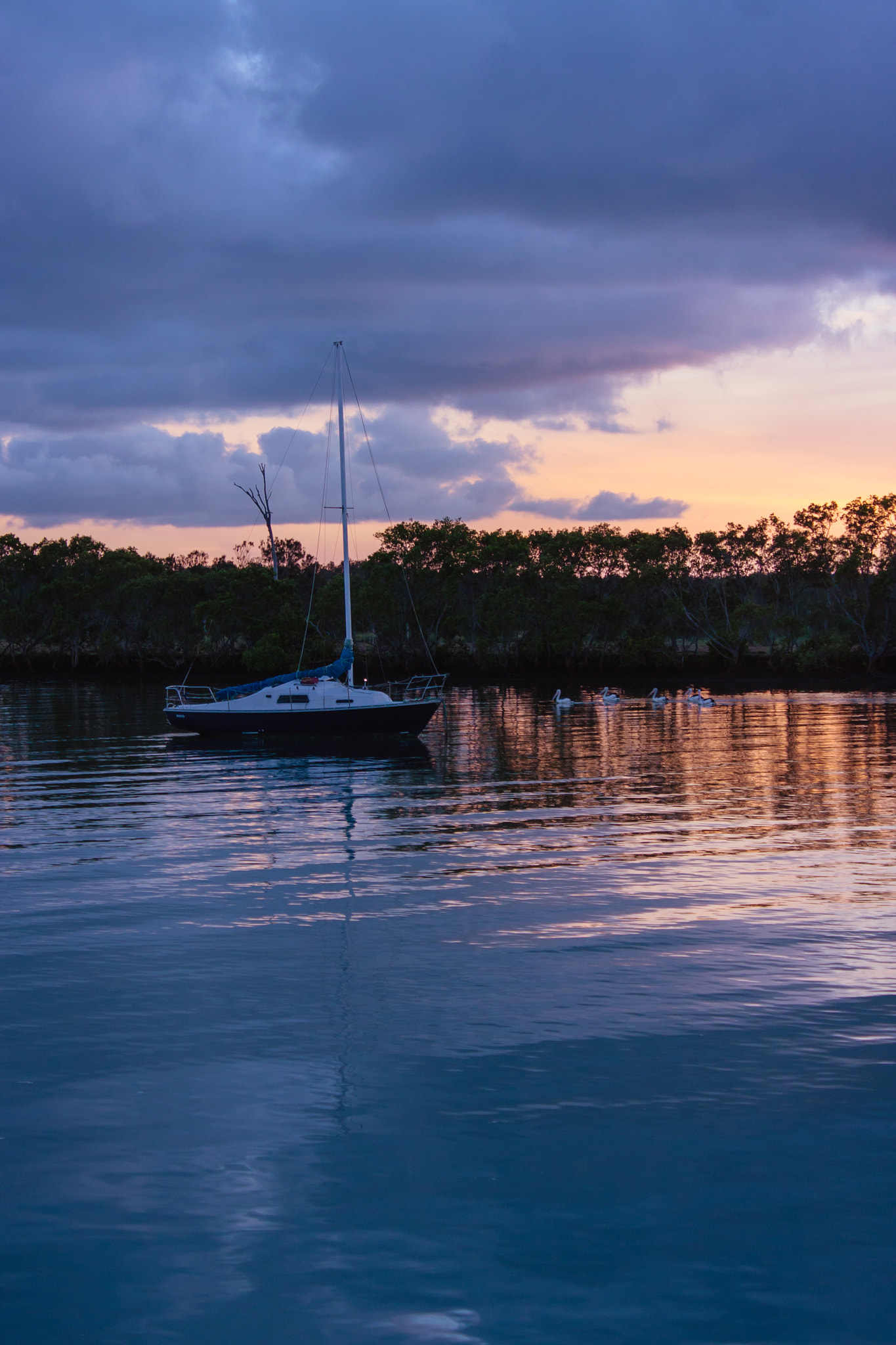 Canon EOS 40D sample photo. Yacht & pelicans on the morning tide photography