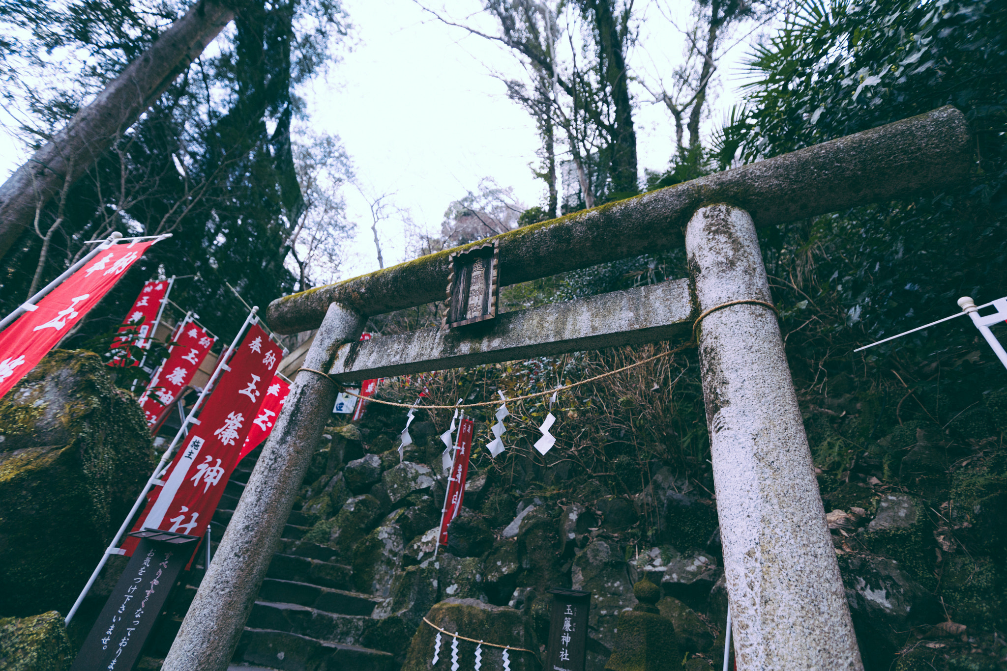 Sony a99 II sample photo. 神社鸟居 photography