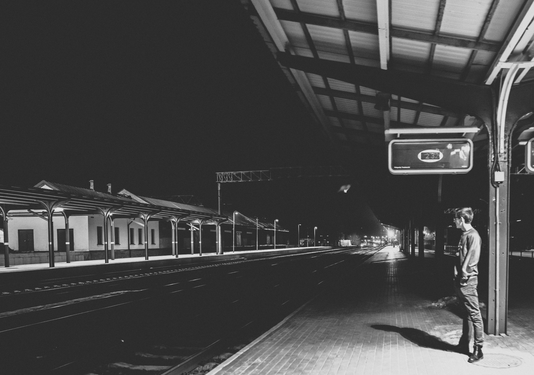 Canon EOS-1D Mark III sample photo. Owl train photography