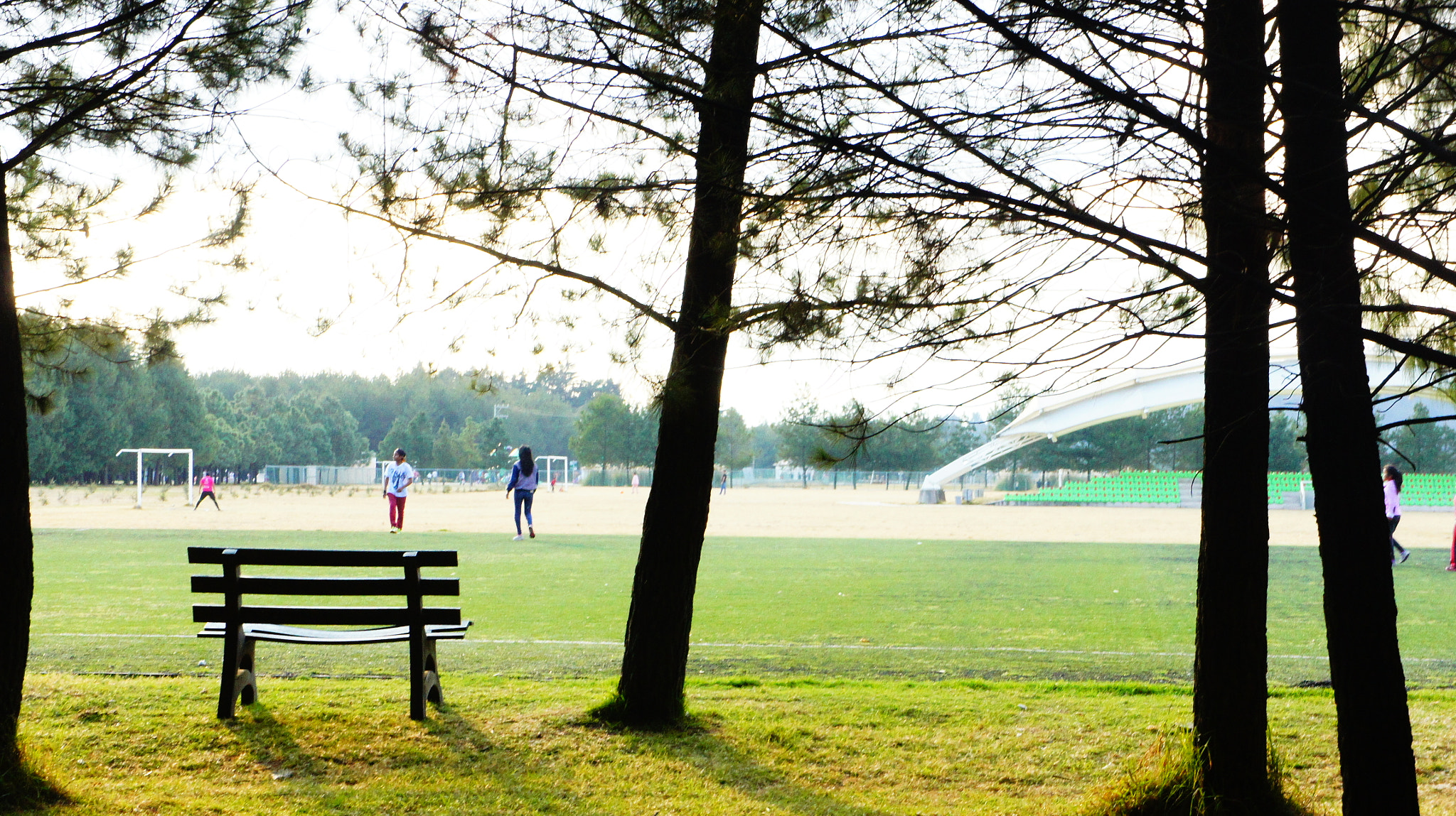 Sony E 18-55mm F3.5-5.6 OSS sample photo. Long wait  photography