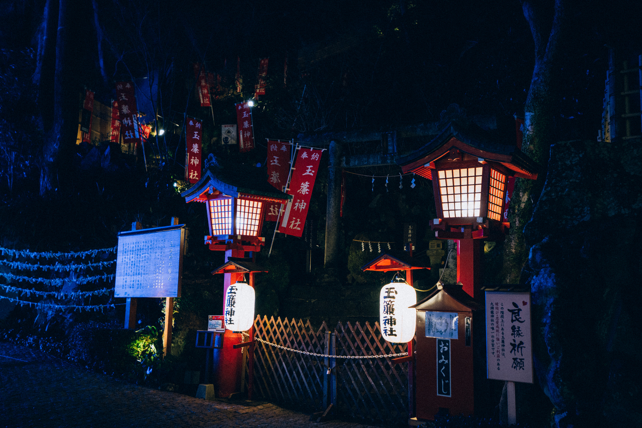 Sony a99 II sample photo. 夜色神社 photography