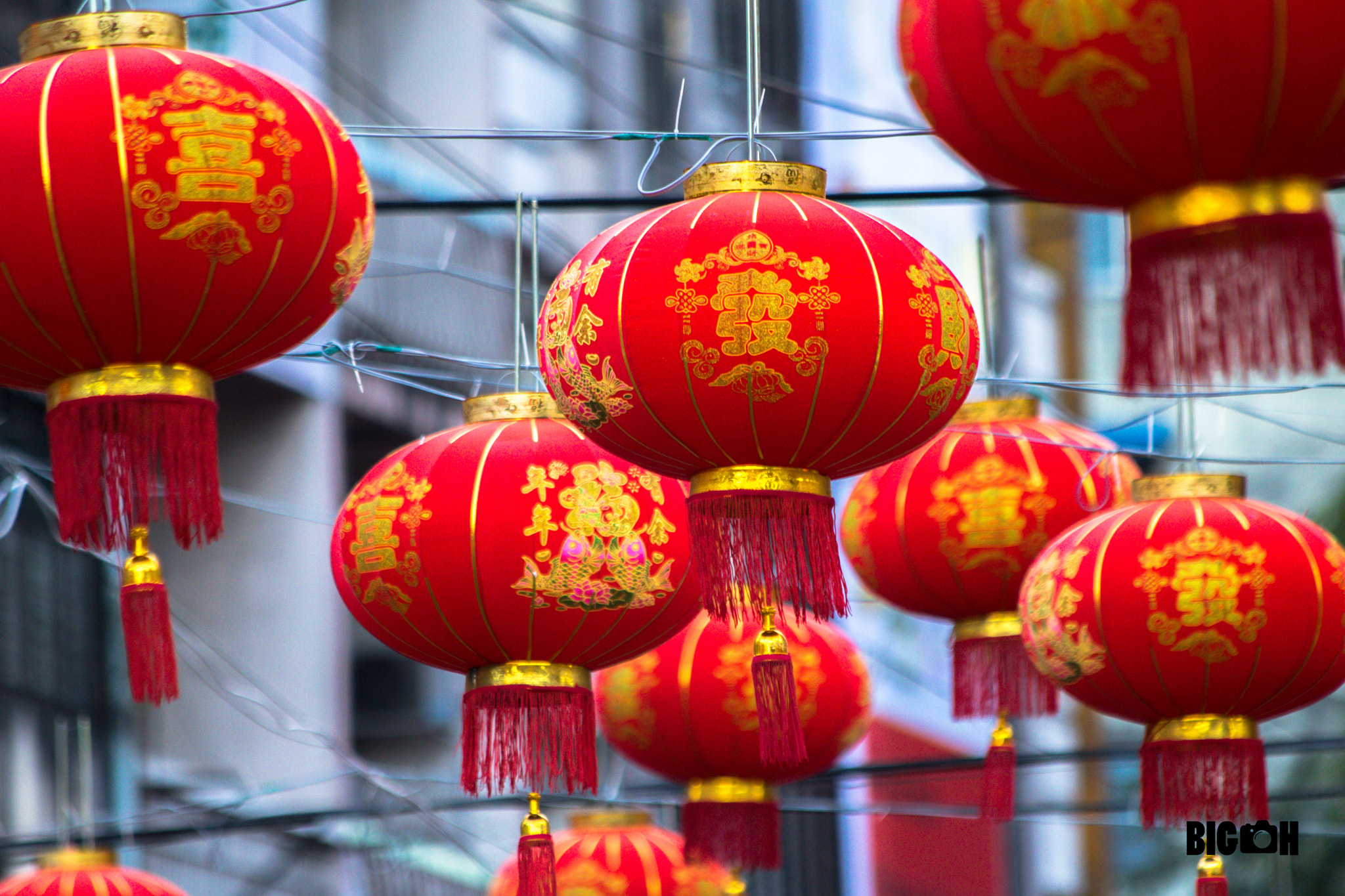 Canon EF 70-300mm F4-5.6 IS USM sample photo. China lunar new year in yangon photography