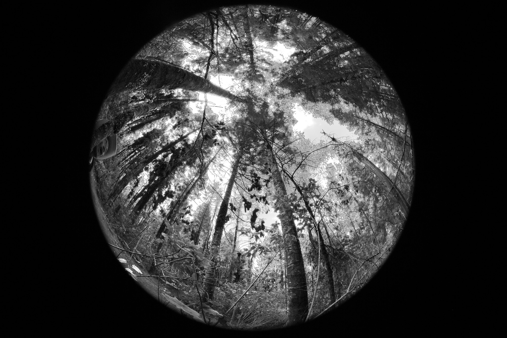 Canon EF 8-15mm F4L Fisheye USM sample photo. Piedra herrada. photography