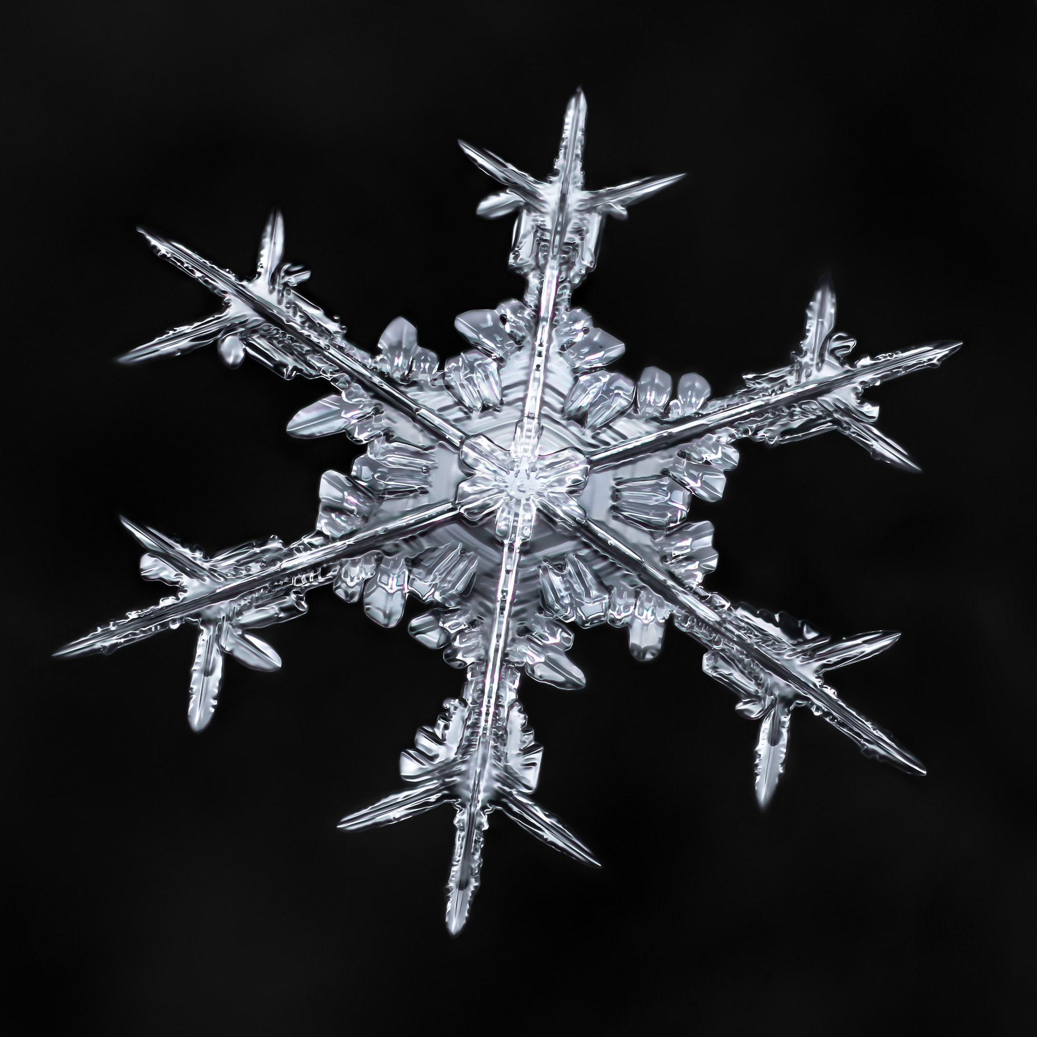 Canon MP-E 65mm F2.5 1-5x Macro Photo sample photo. Snowflake-a-day #47 photography
