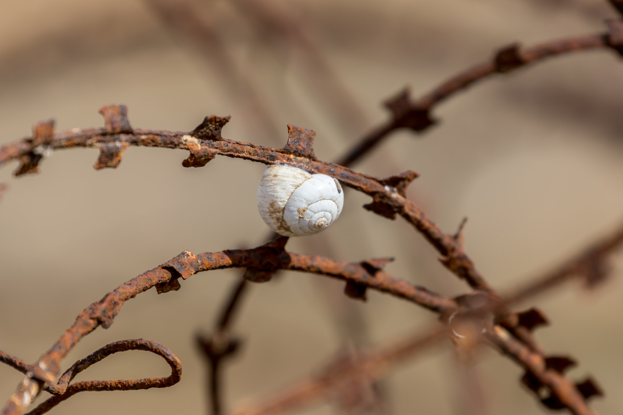 Canon EF 70-300mm F4-5.6L IS USM sample photo. Abandon place photography