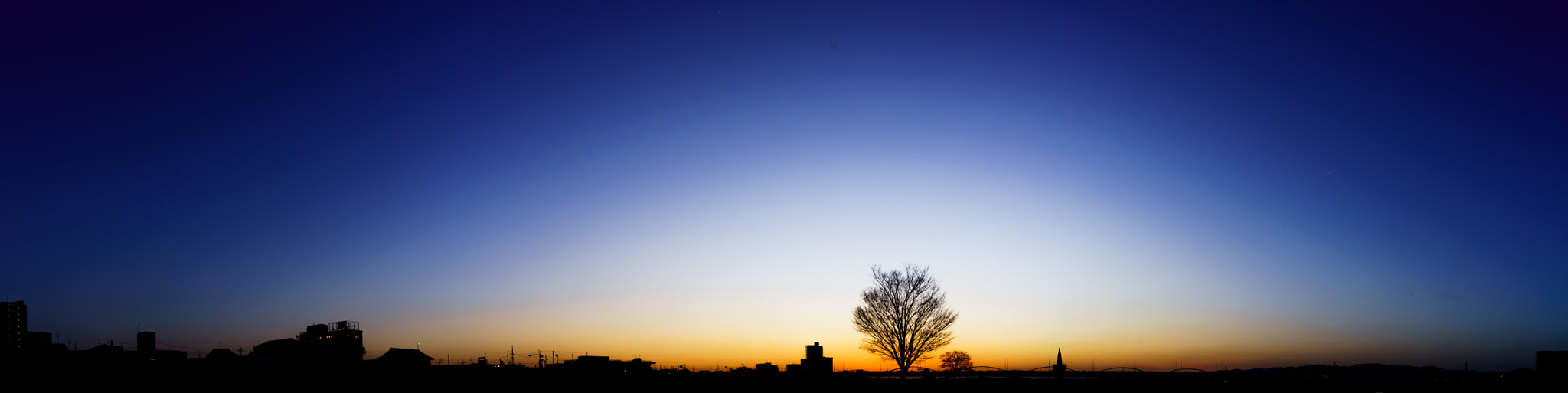 Sony a99 II sample photo. Twilight blue in sunset - and a tree photography
