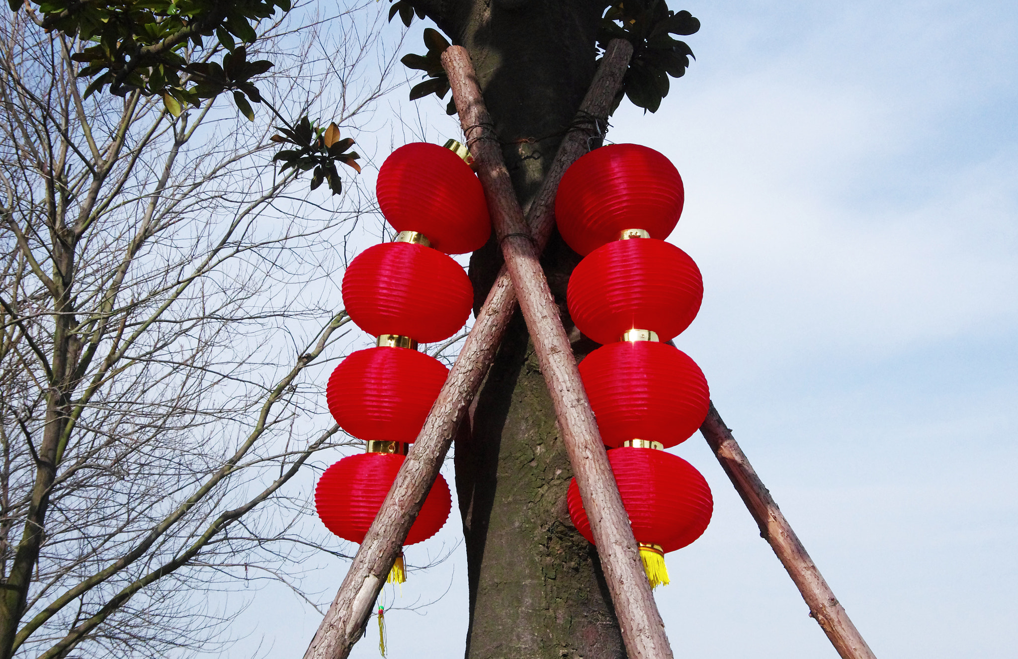 Pentax K-5 IIs sample photo