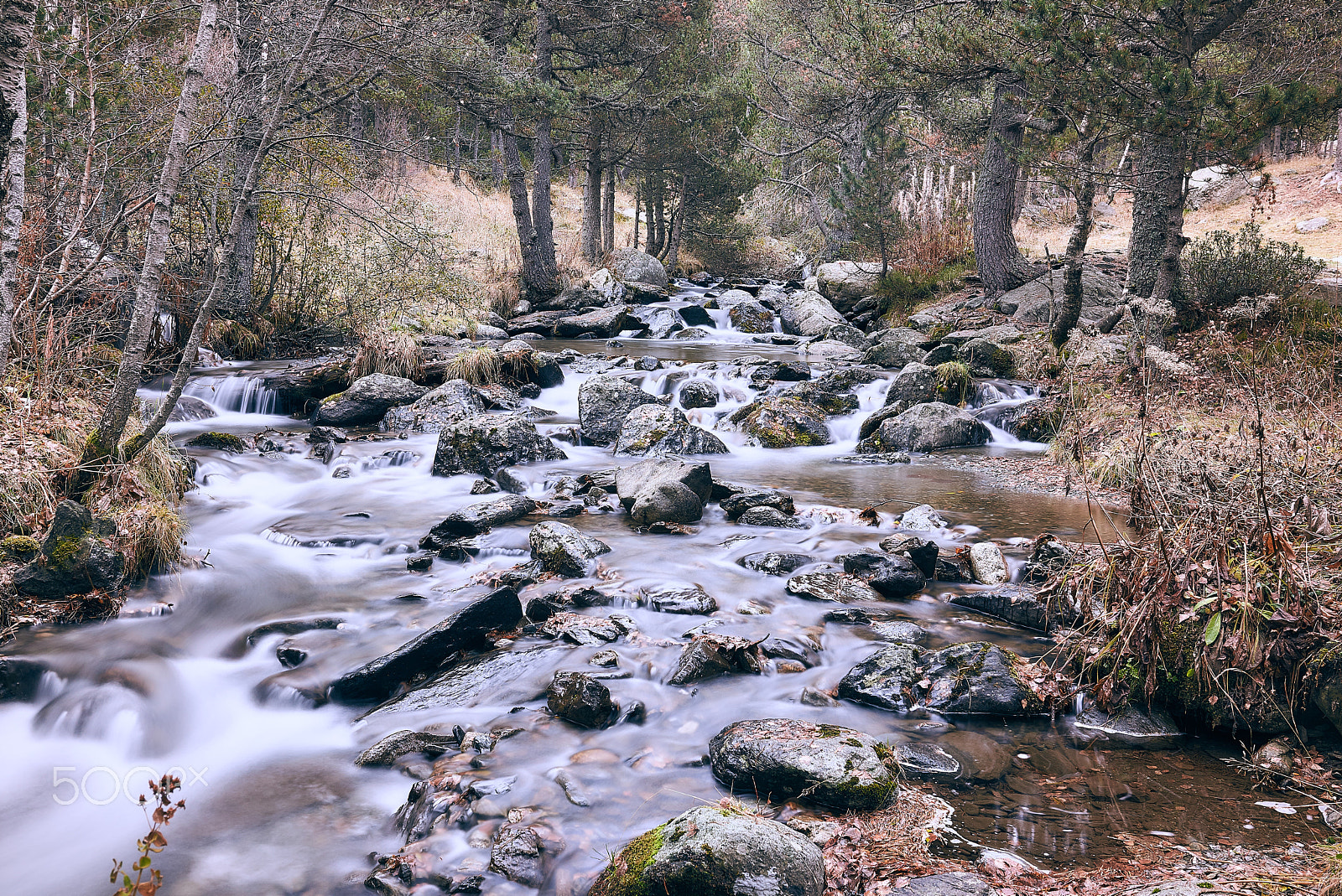 Nikon AF-S Nikkor 28mm F1.8G sample photo. Mountain creek photography