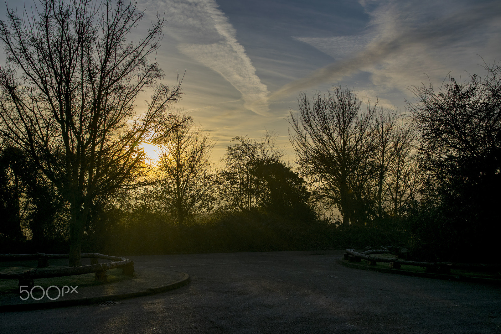 Nikon D5300 + Sigma 17-70mm F2.8-4 DC Macro OS HSM sample photo. Morning sunshine photography