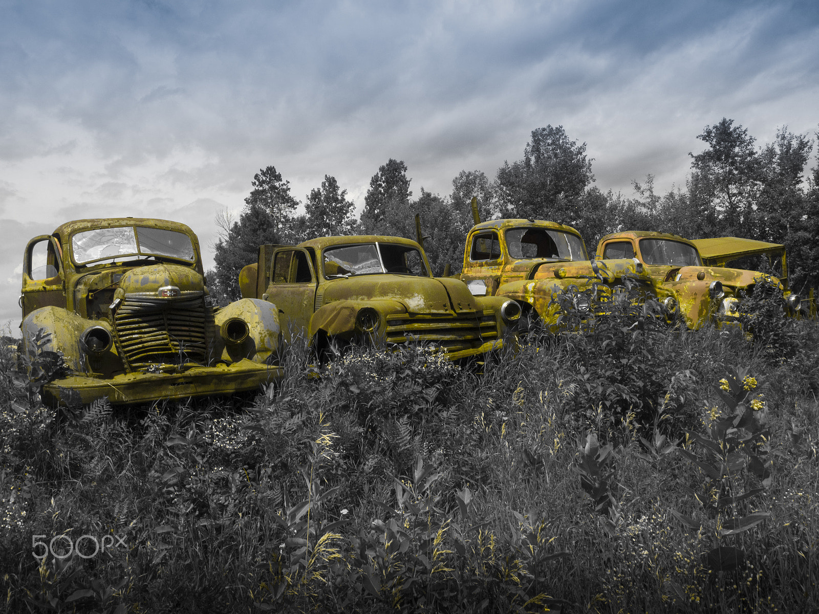 Olympus OM-D E-M1 sample photo. Wrecked old cars photography