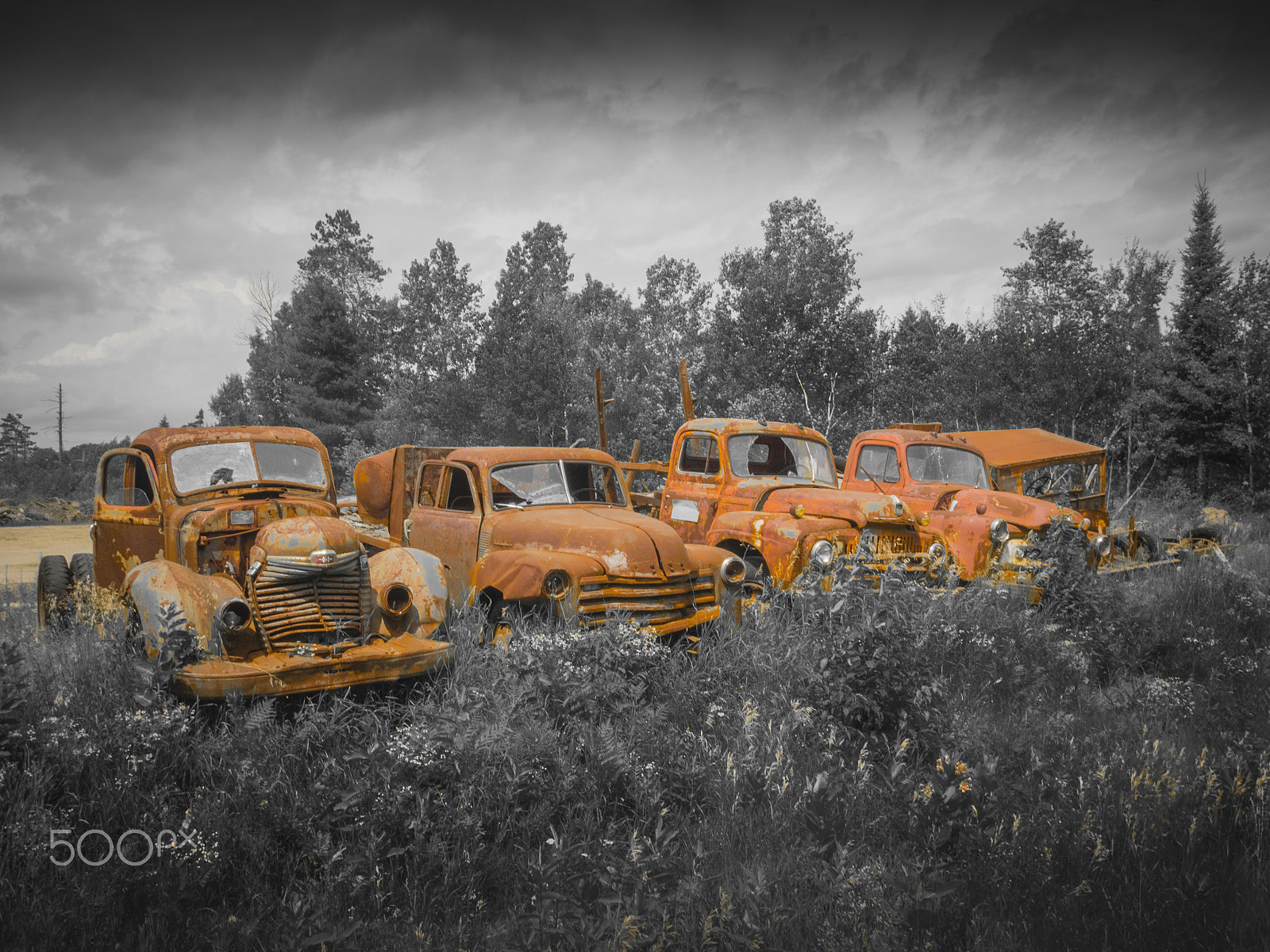 Olympus OM-D E-M1 sample photo. Wrecked old cars photography