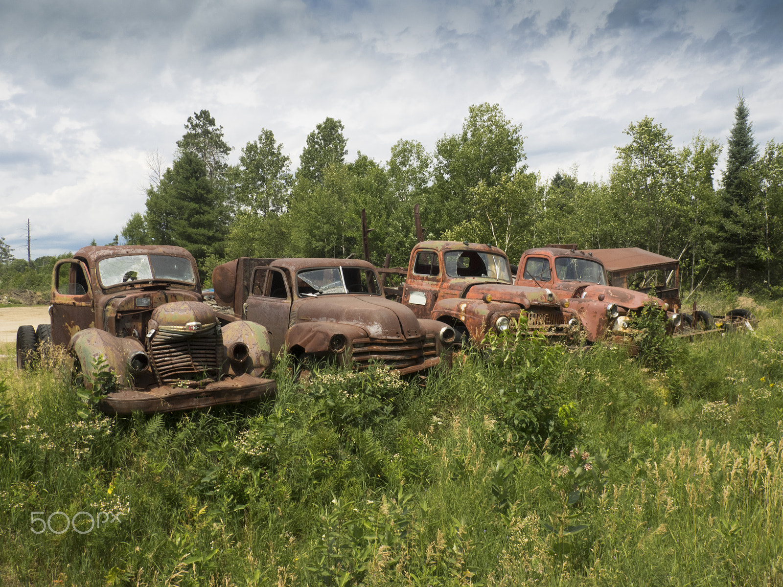 Olympus OM-D E-M1 sample photo. Wrecked old cars photography
