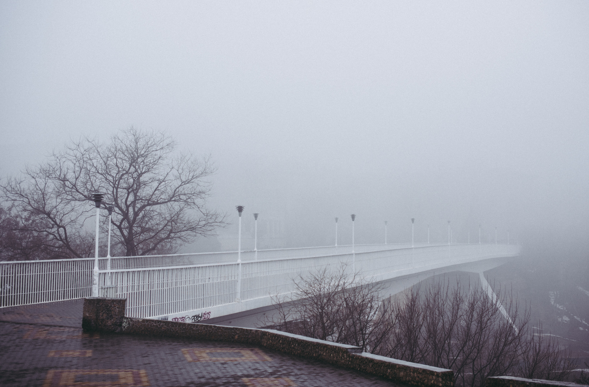Nikon D810 + Sigma 50mm F1.4 EX DG HSM sample photo. Winter fog photography
