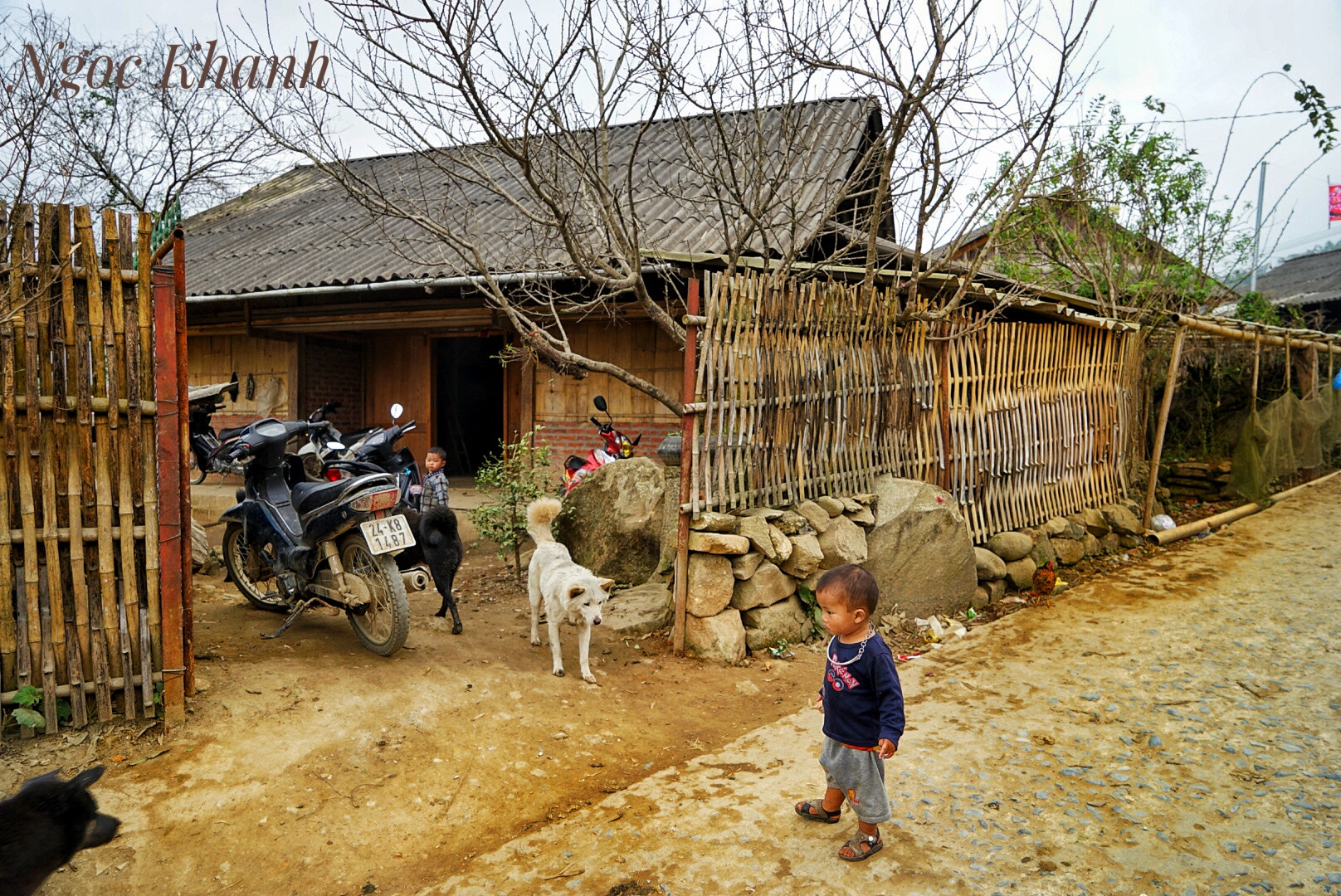 Sony a7 II sample photo. Lao chai sapa 5 tet dinh dau 2017 photography