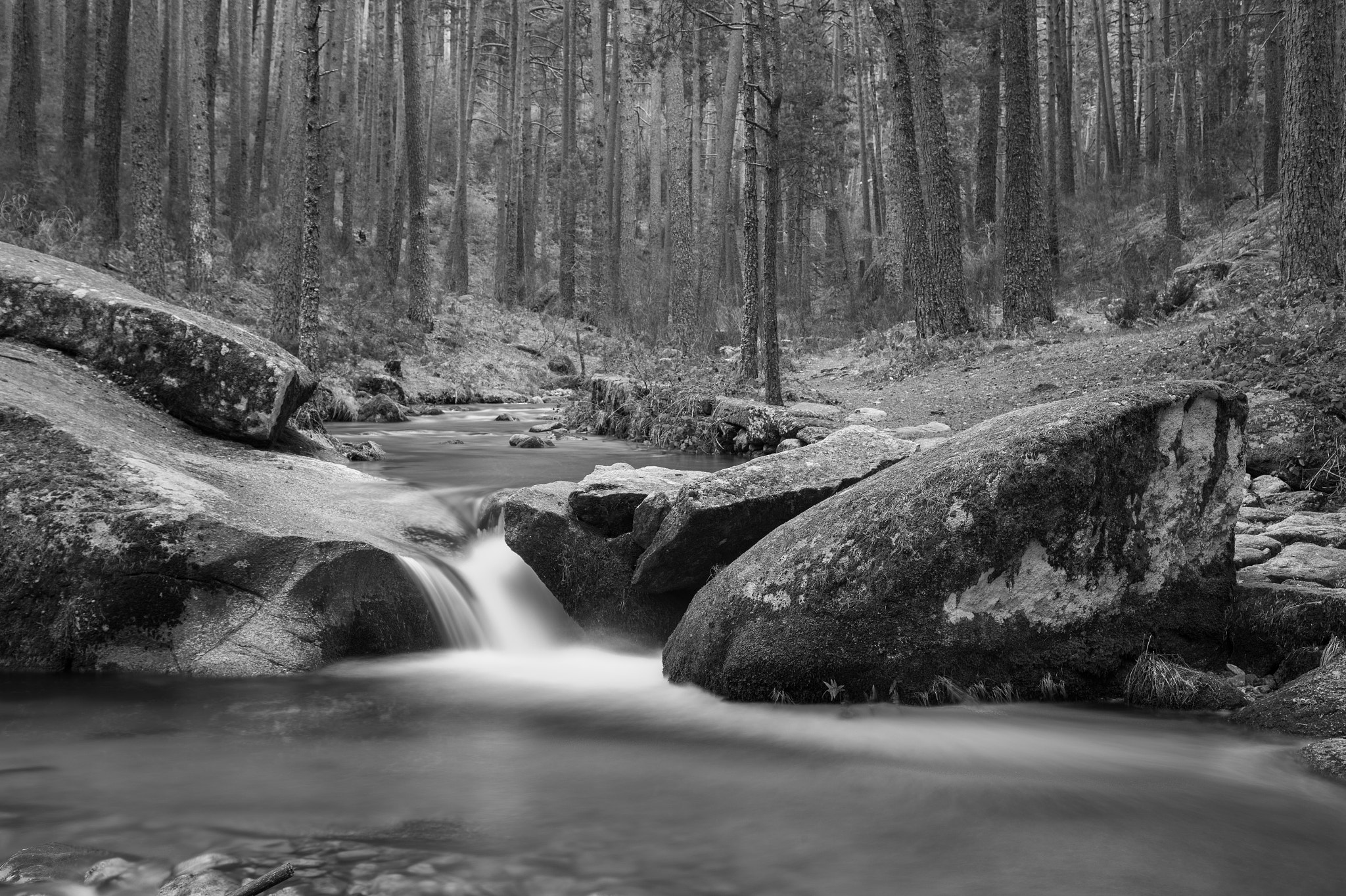 Canon EOS-1D X sample photo. B/w small waterfall photography